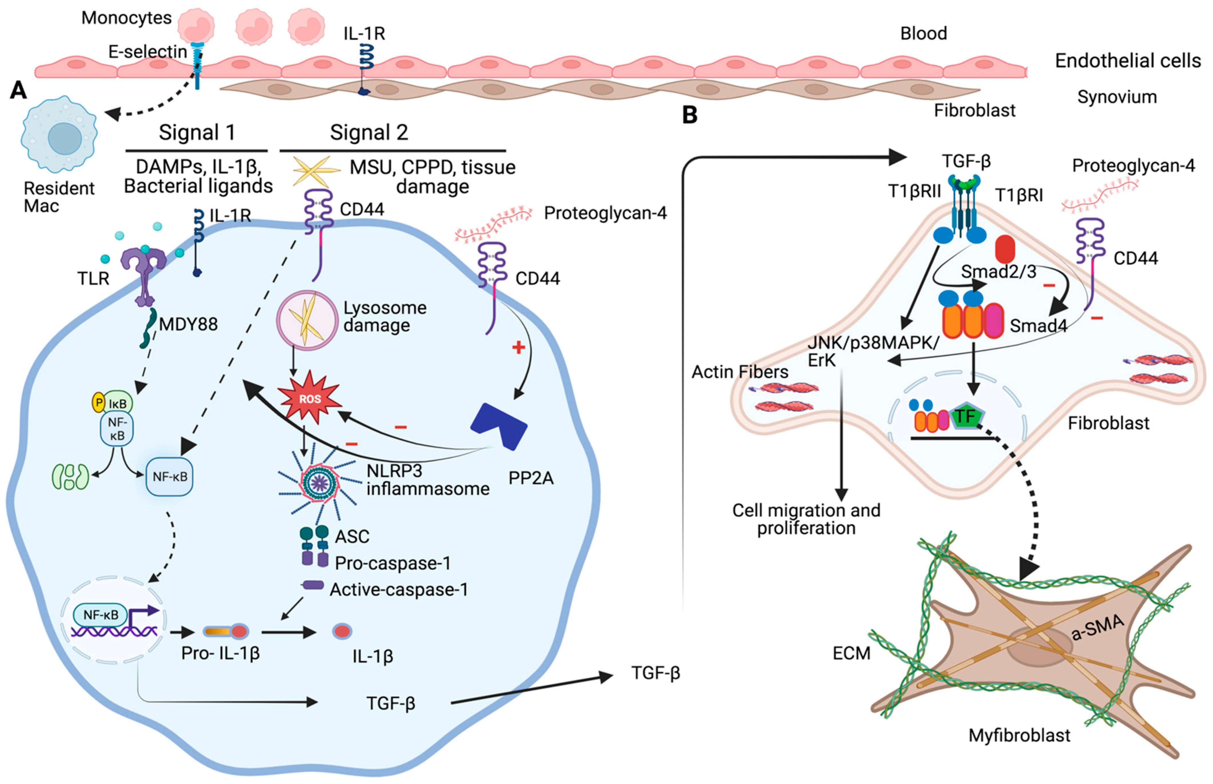 Pharmaceuticals 16 01425 g002