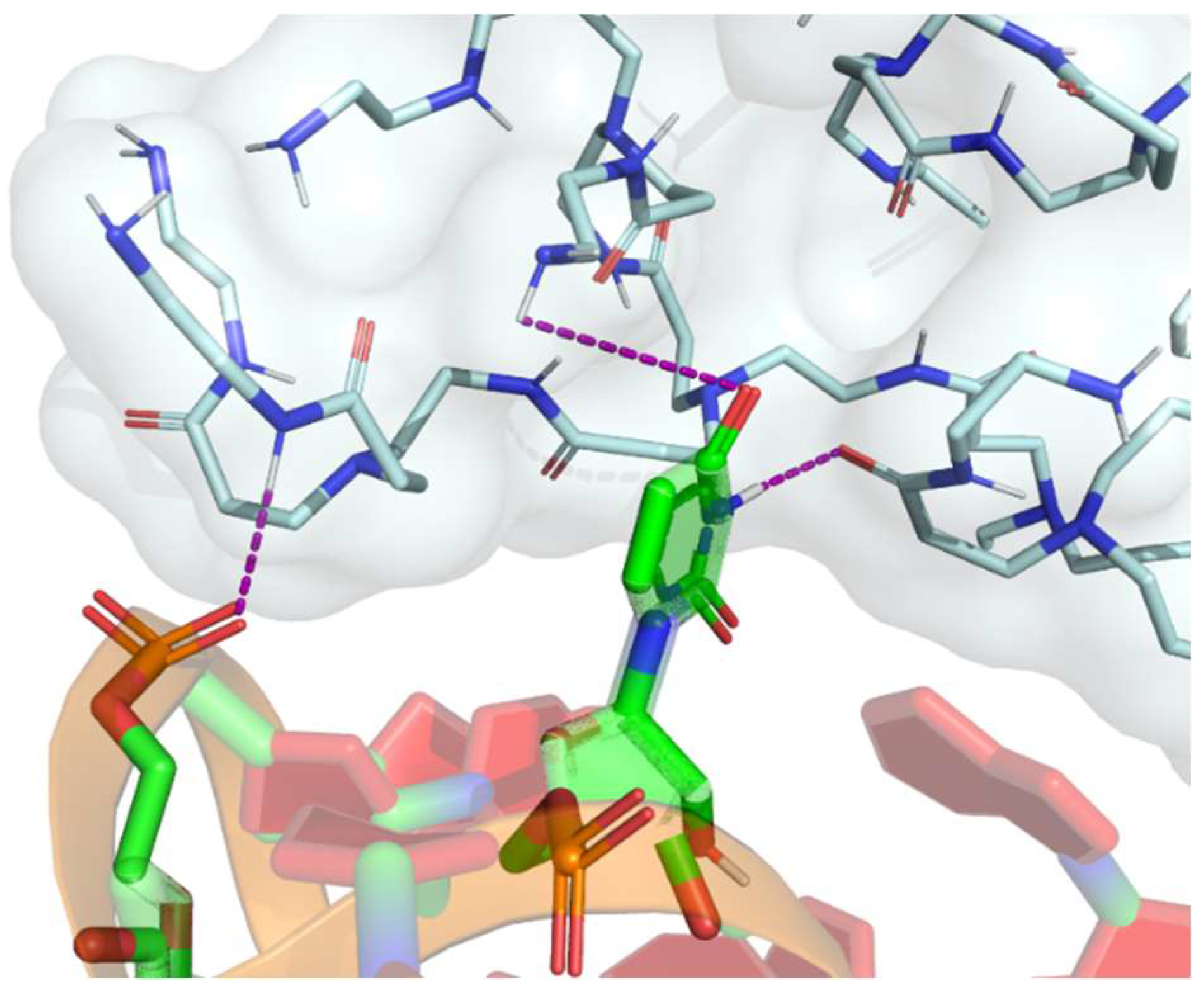Pharmaceuticals 16 01428 g005