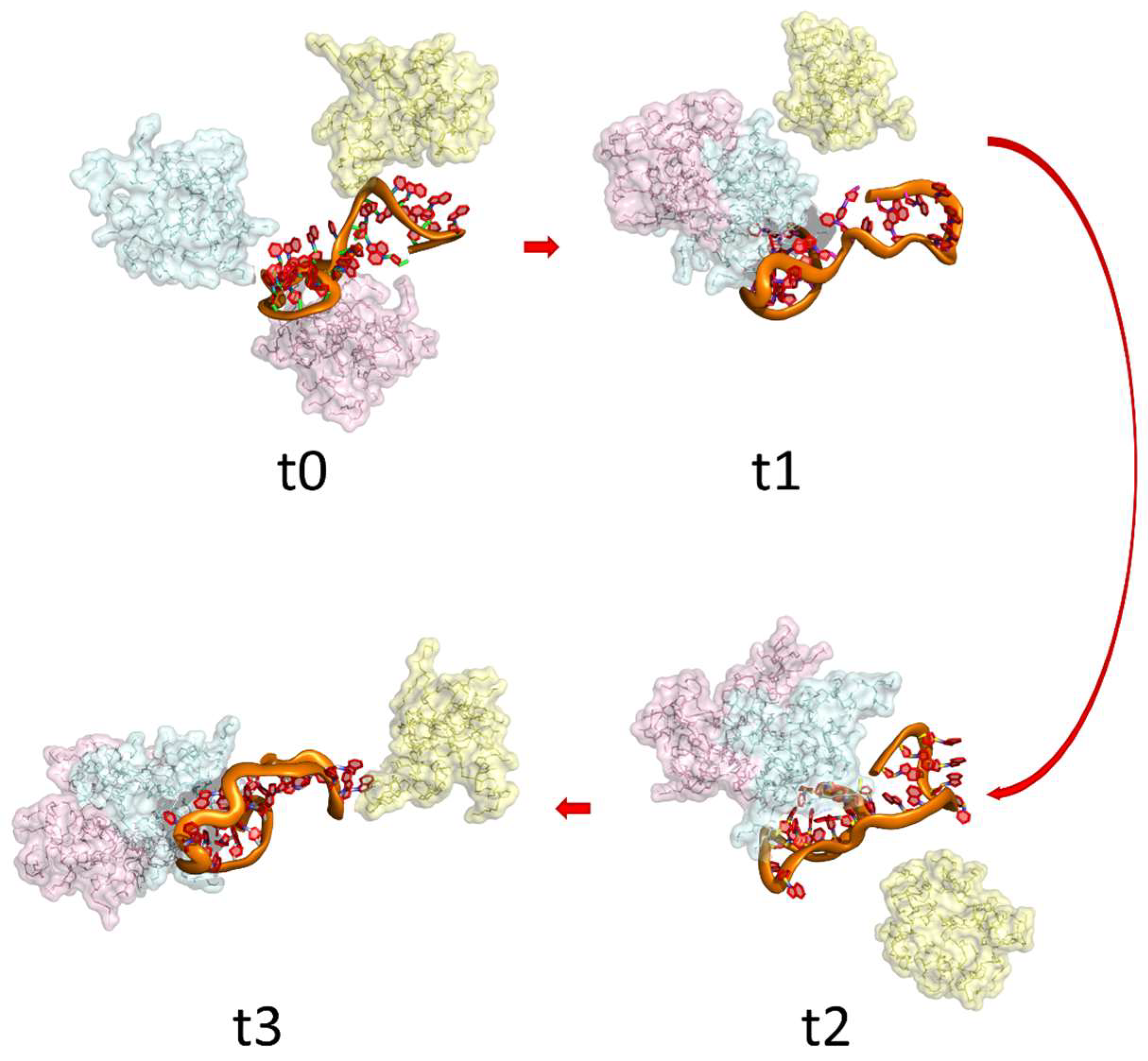 Pharmaceuticals 16 01428 g006