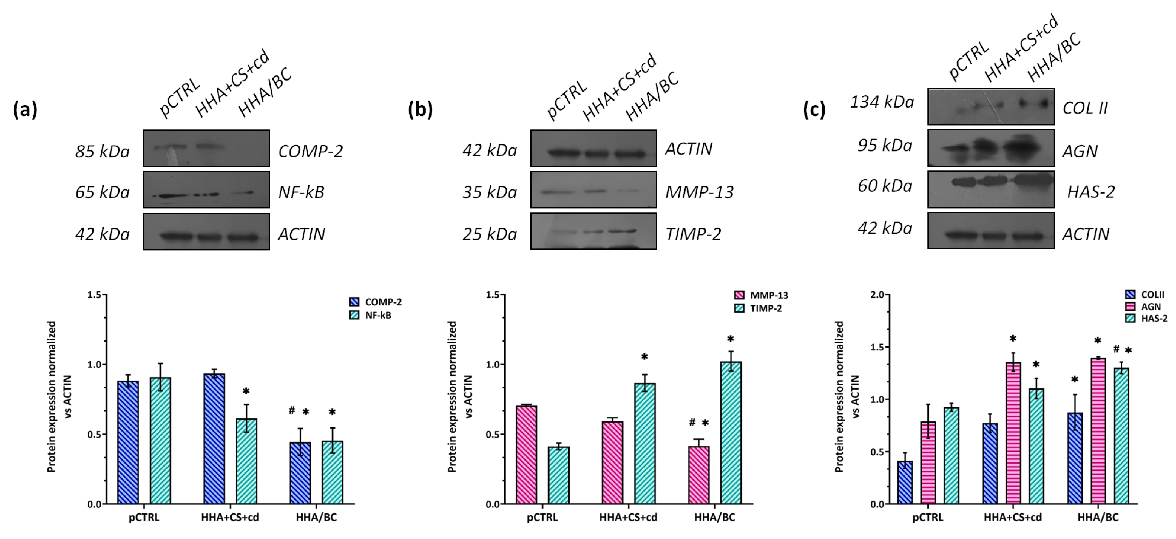 Pharmaceuticals 16 01429 g005 Pharmaceuticals 16 01429 g005