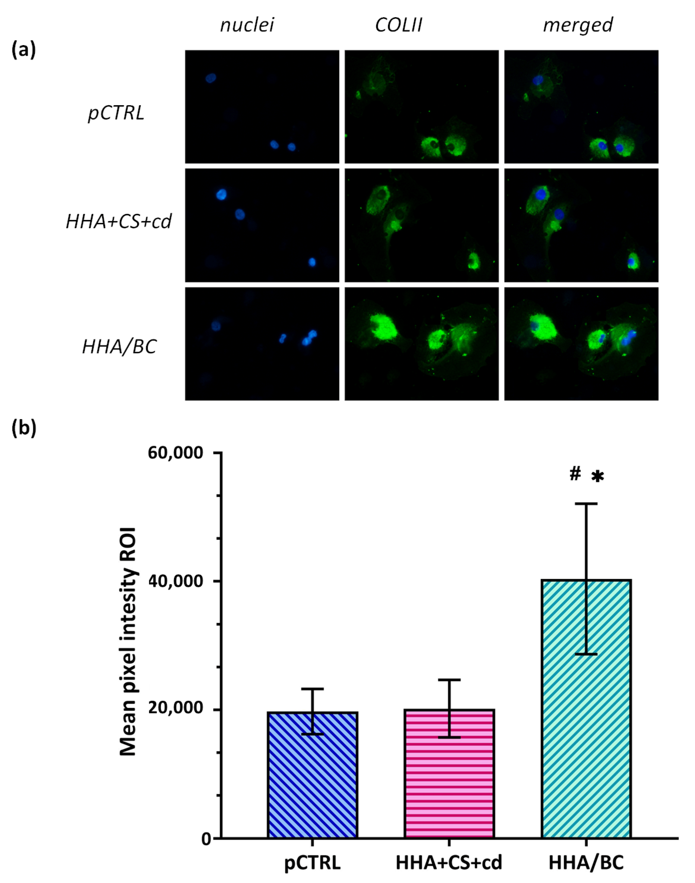 Pharmaceuticals 16 01429 g006 Pharmaceuticals 16 01429 g006