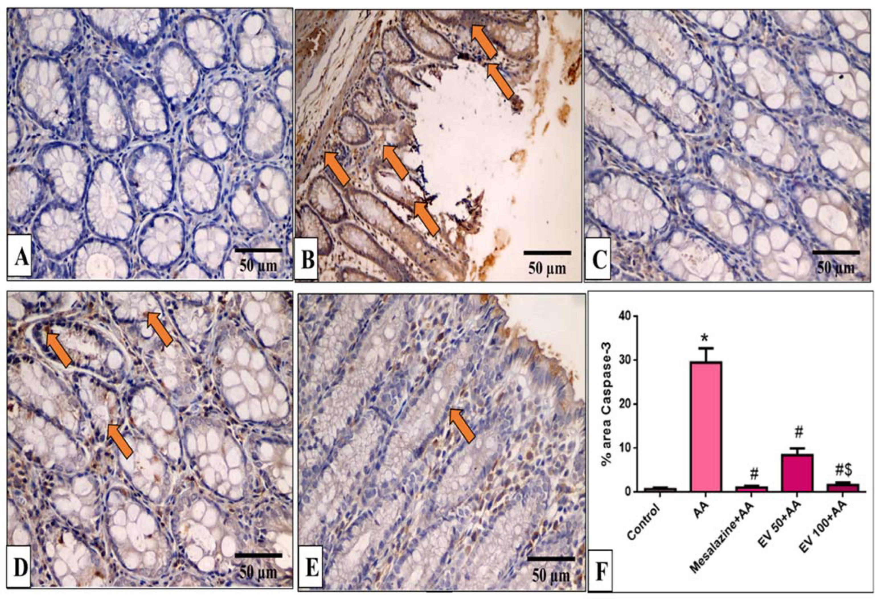 Pharmaceuticals 16 01431 g005