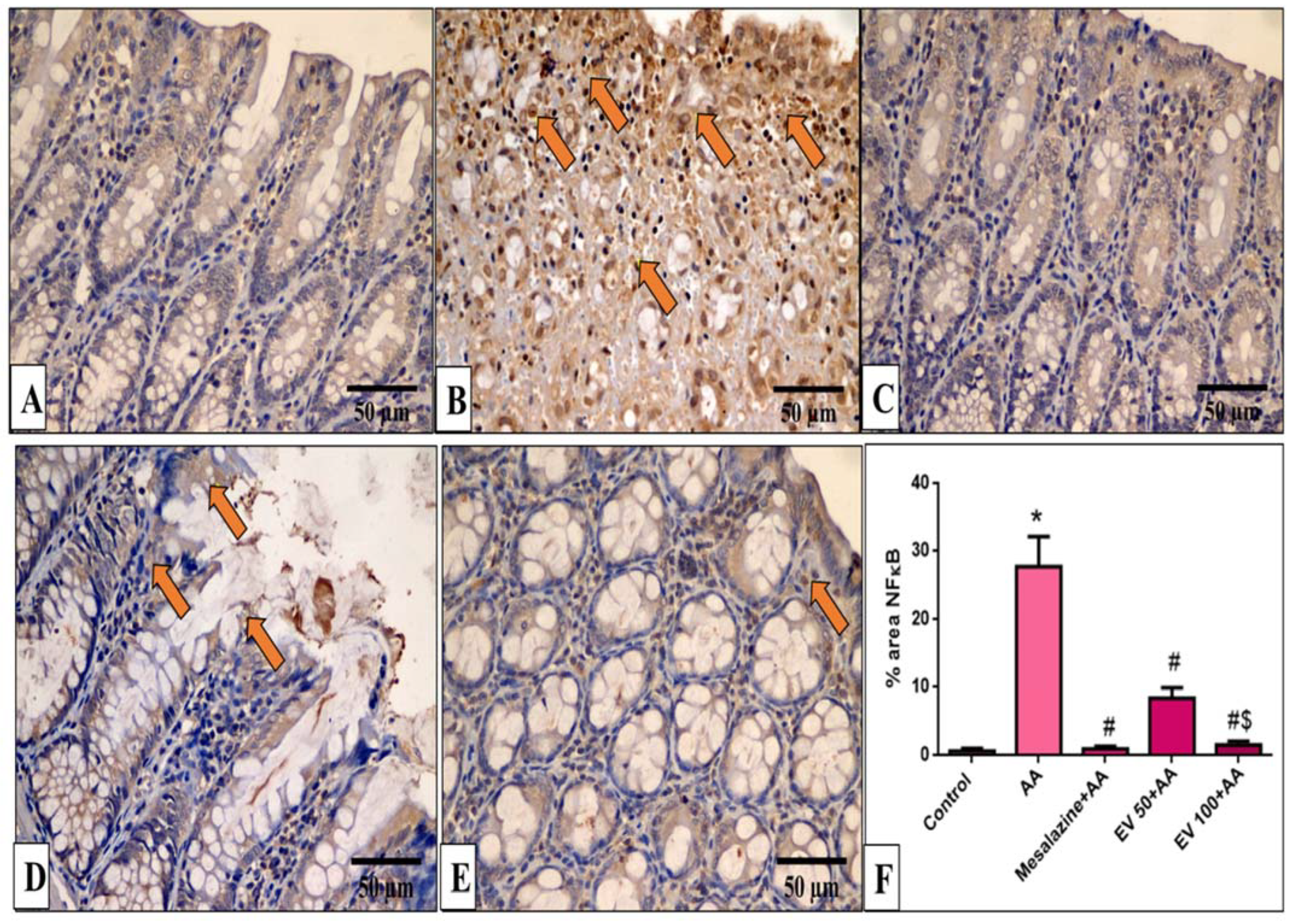 Pharmaceuticals 16 01431 g006
