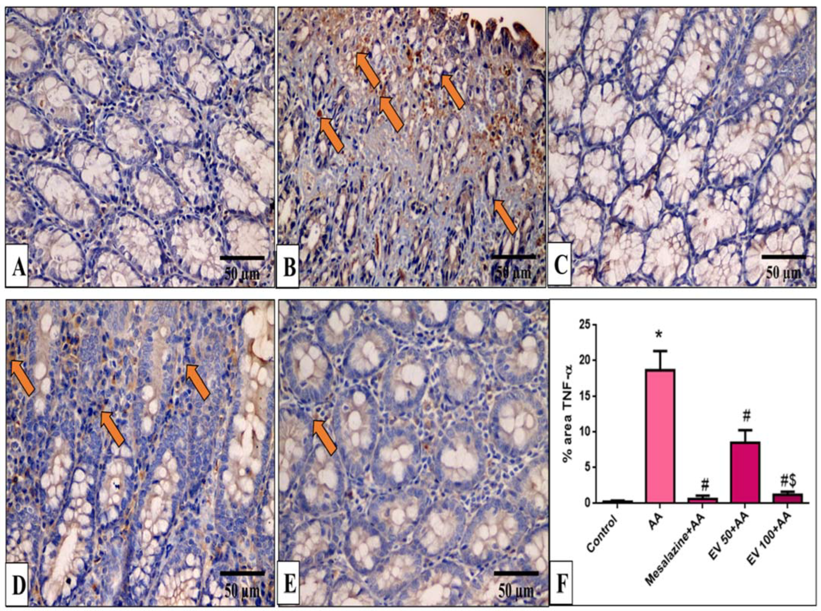 Pharmaceuticals 16 01431 g007