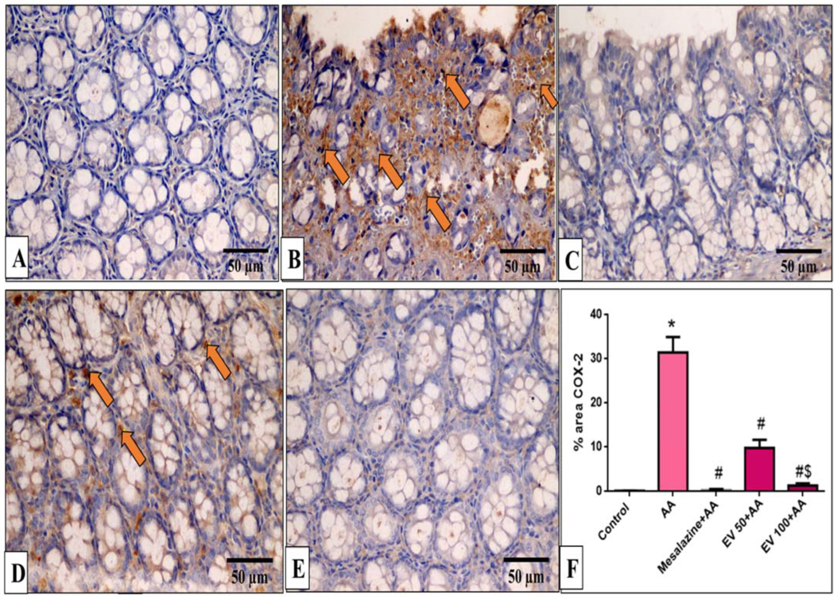 Pharmaceuticals 16 01431 g008