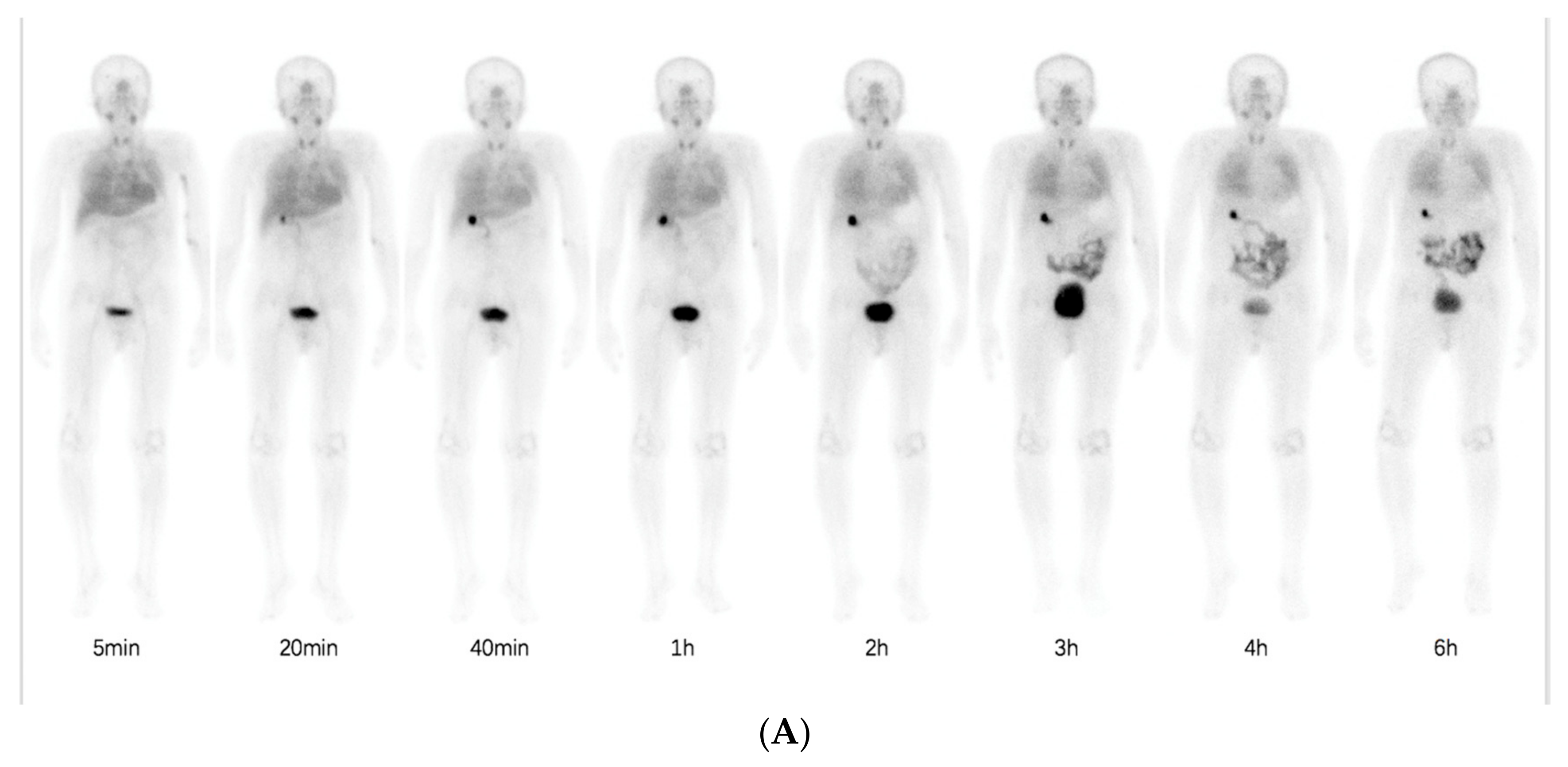 Pharmaceuticals 16 01434 g003a Pharmaceuticals 16 01434 g003a