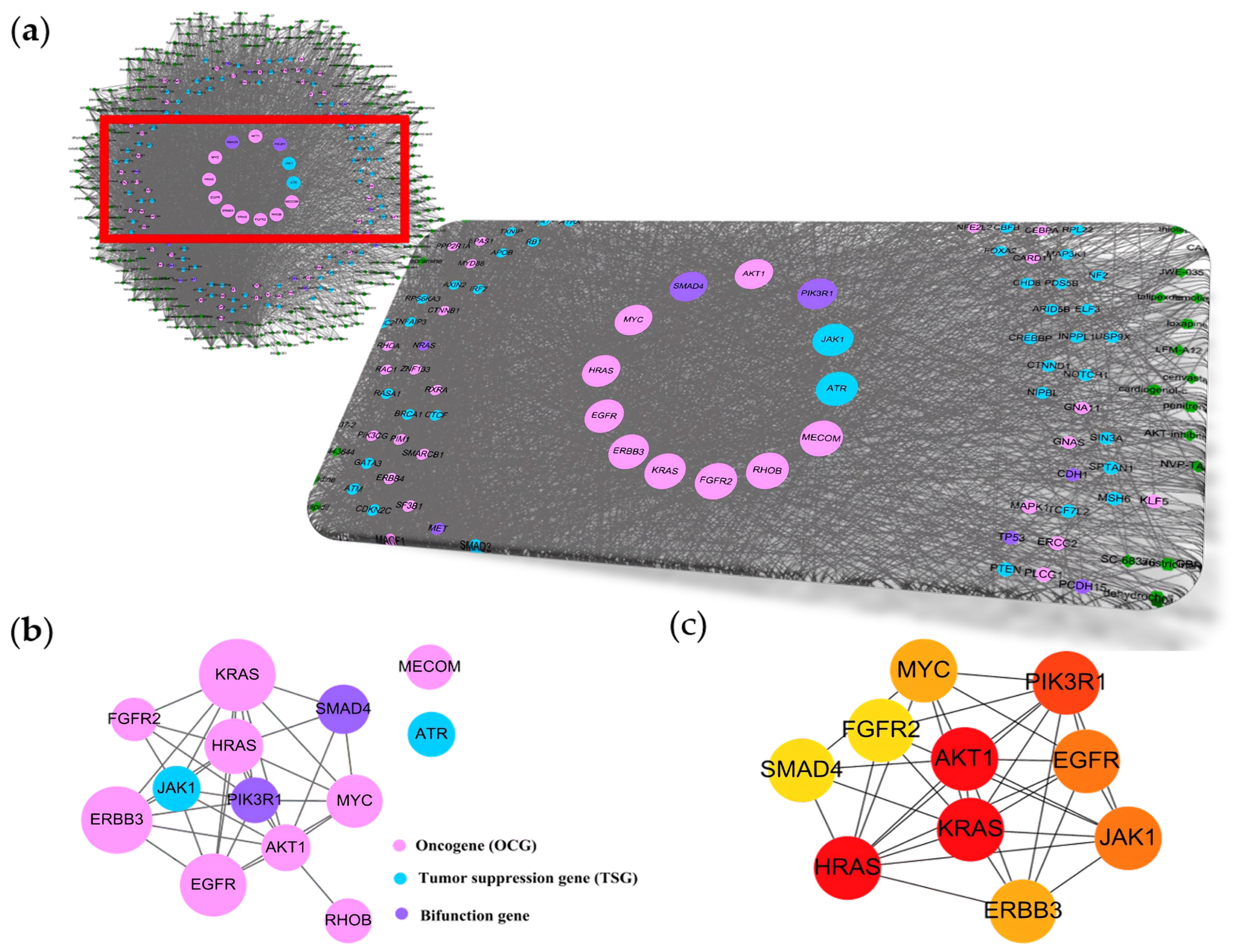 Pharmaceuticals 16 01435 g001 Pharmaceuticals 16 01435 g001