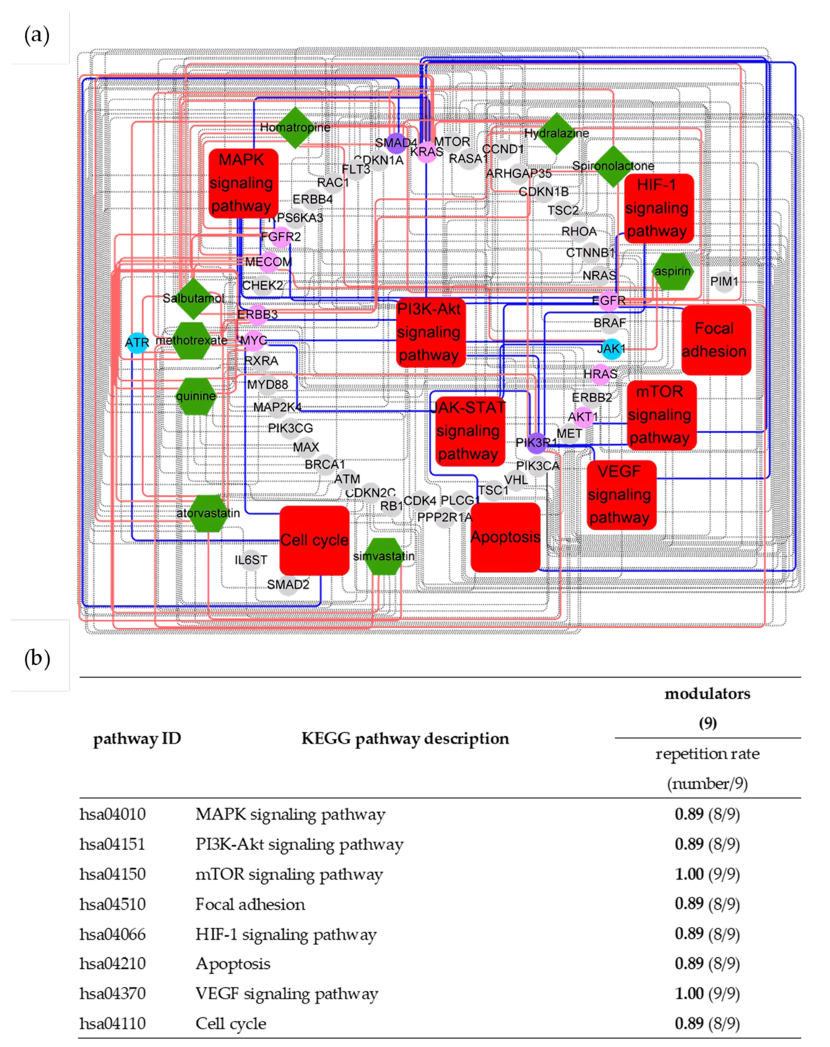 Pharmaceuticals 16 01435 g003 Pharmaceuticals 16 01435 g003