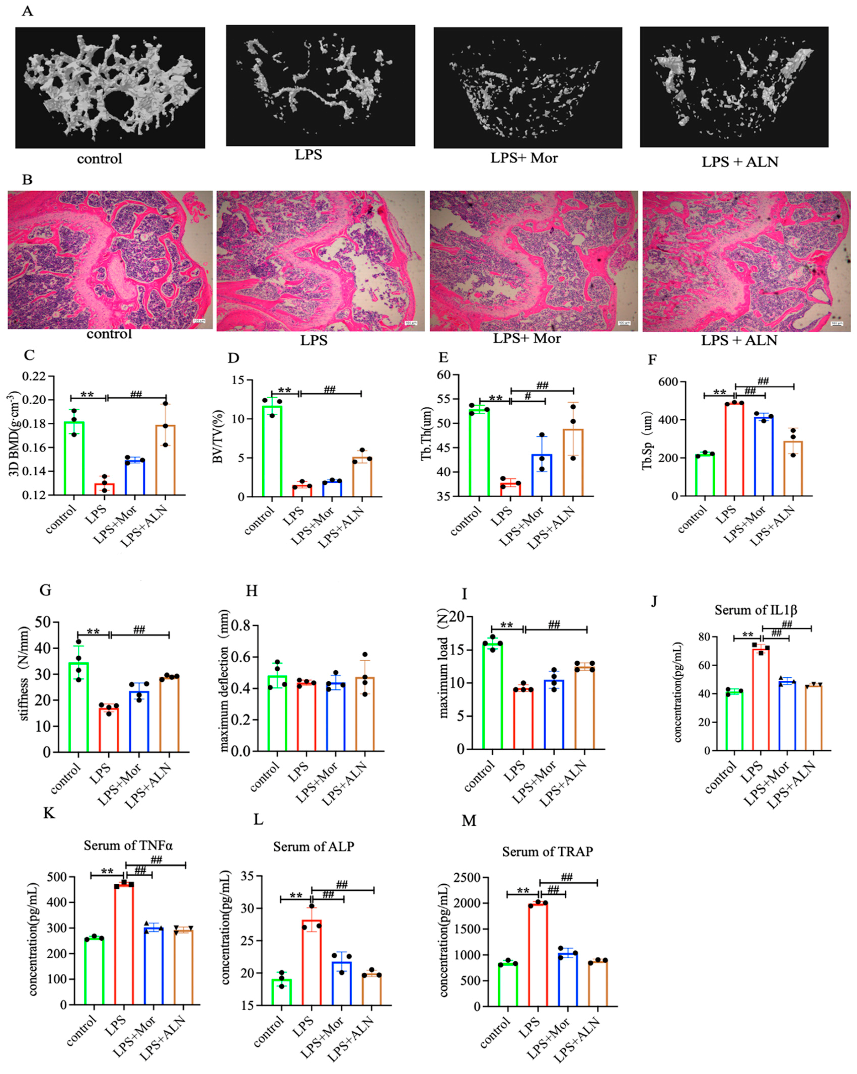 Pharmaceuticals 16 01438 g001