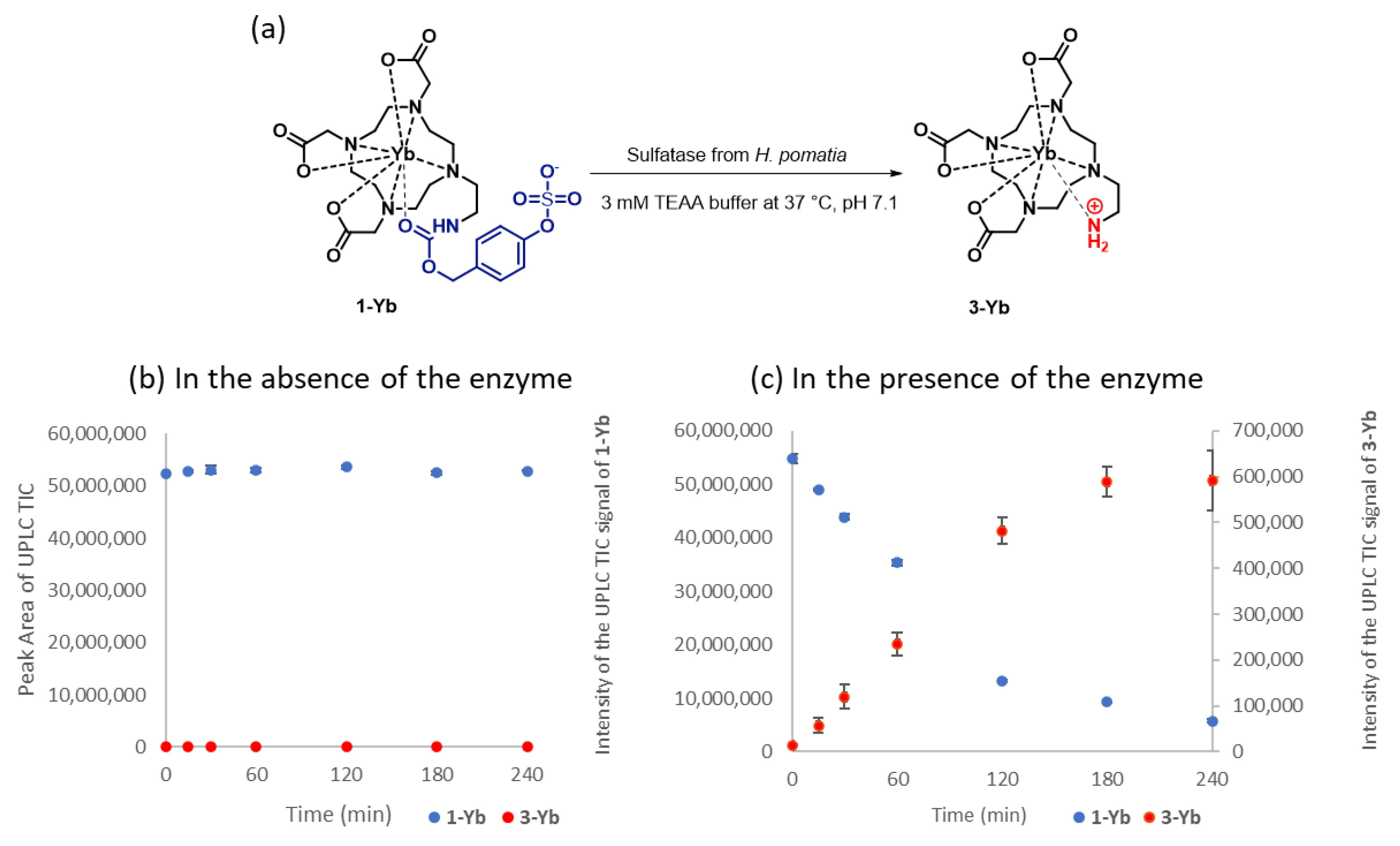 Pharmaceuticals 16 01439 g003