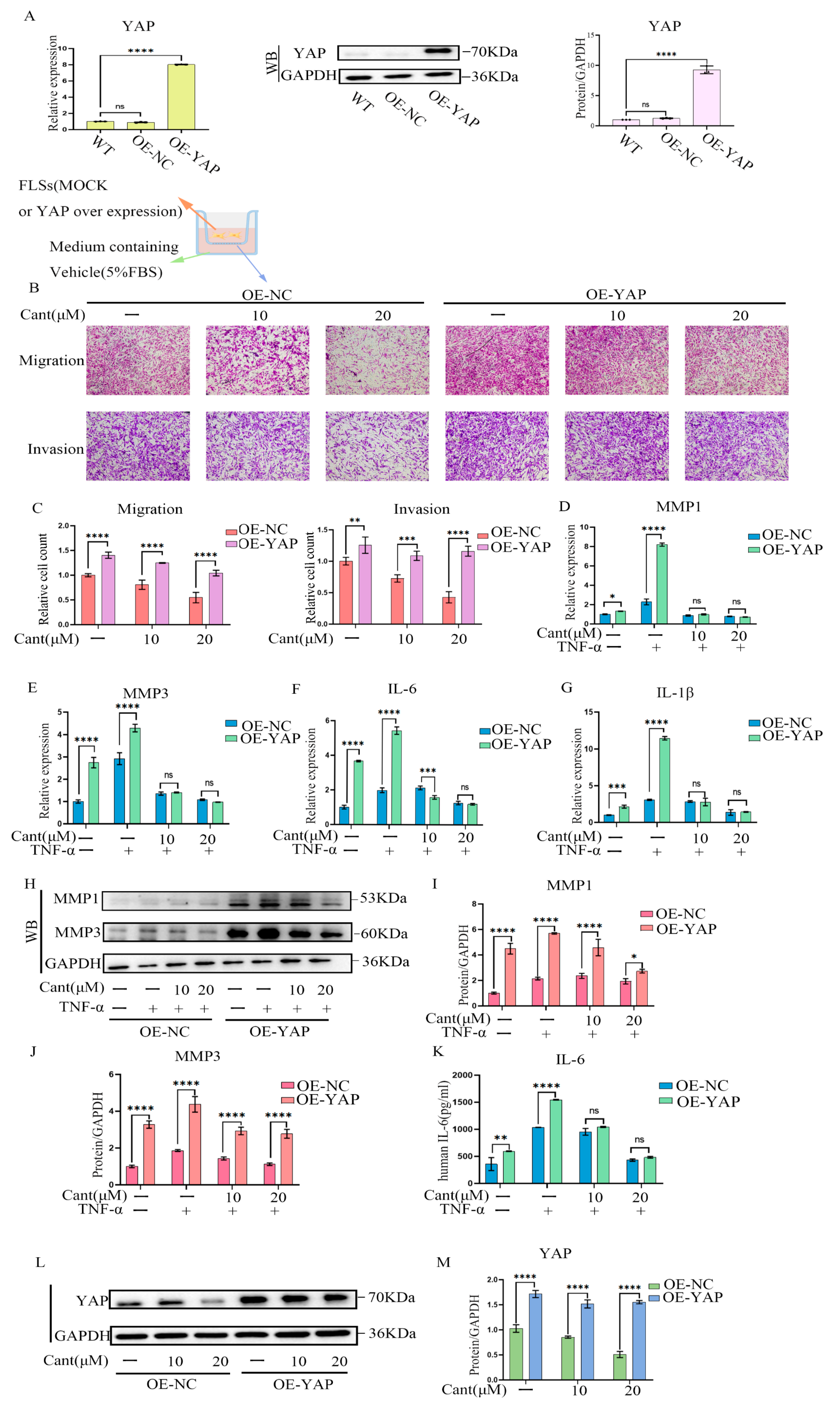 Pharmaceuticals 16 01440 g007