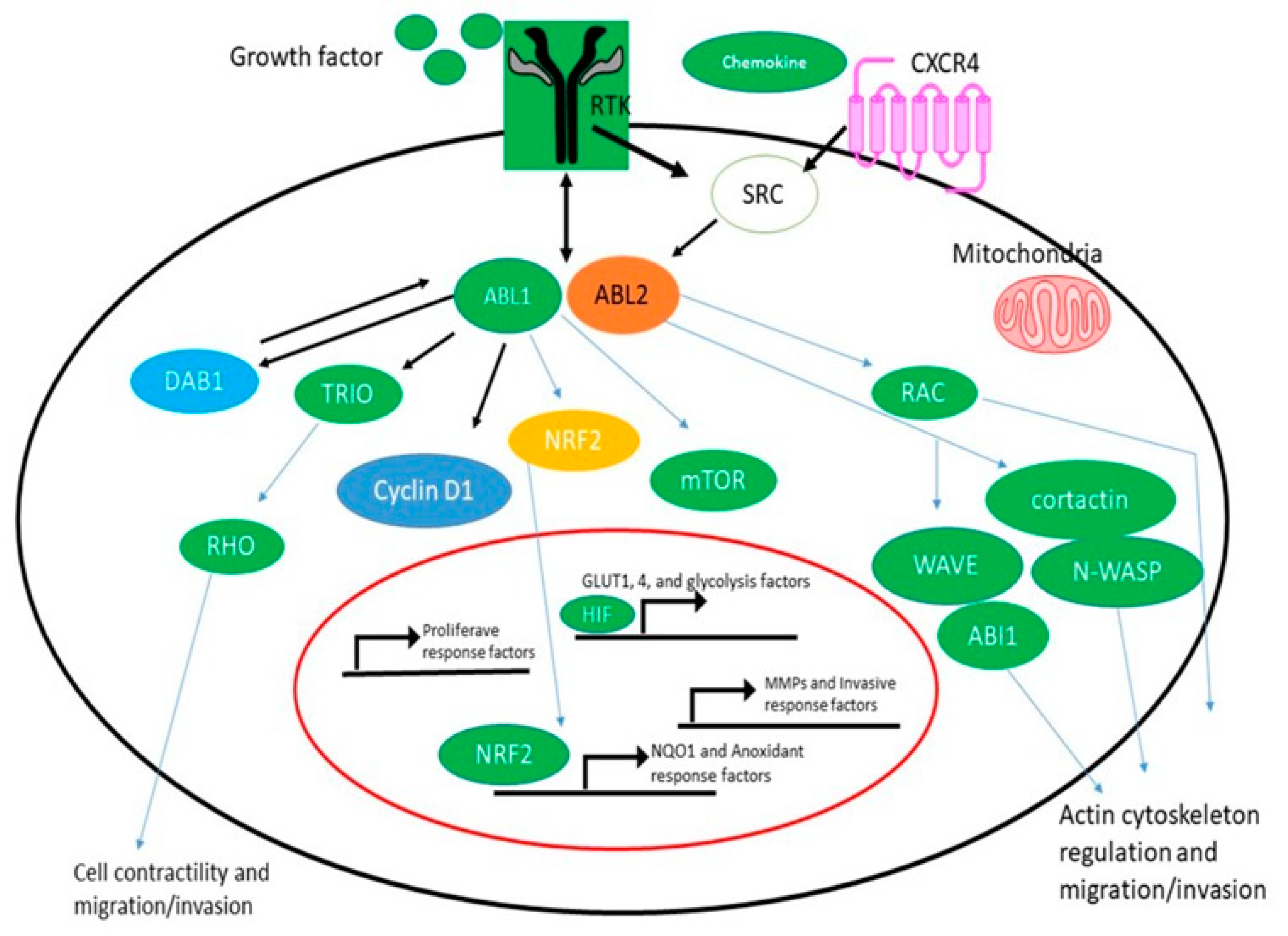Pharmaceuticals 16 01441 g001 Pharmaceuticals 16 01441 g001