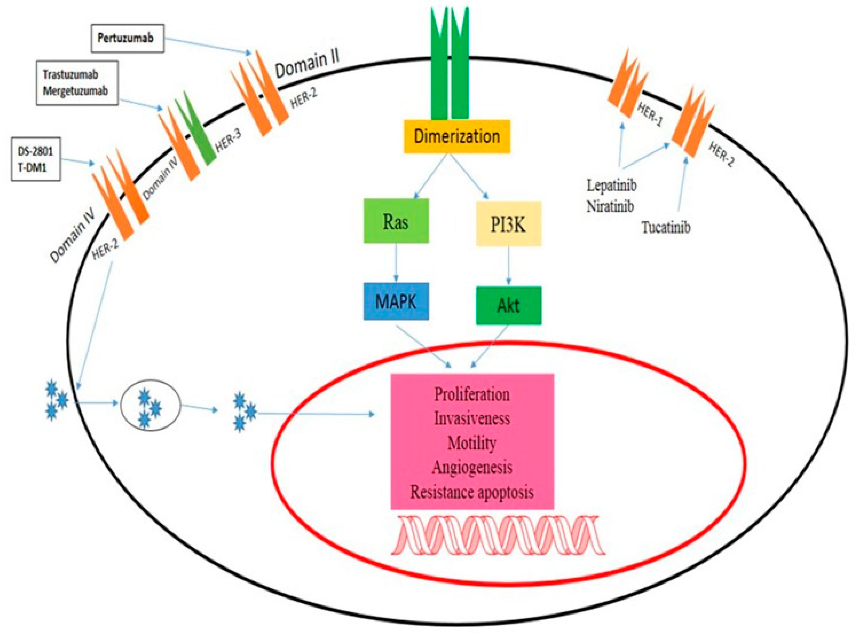 Pharmaceuticals 16 01441 g002 Pharmaceuticals 16 01441 g002