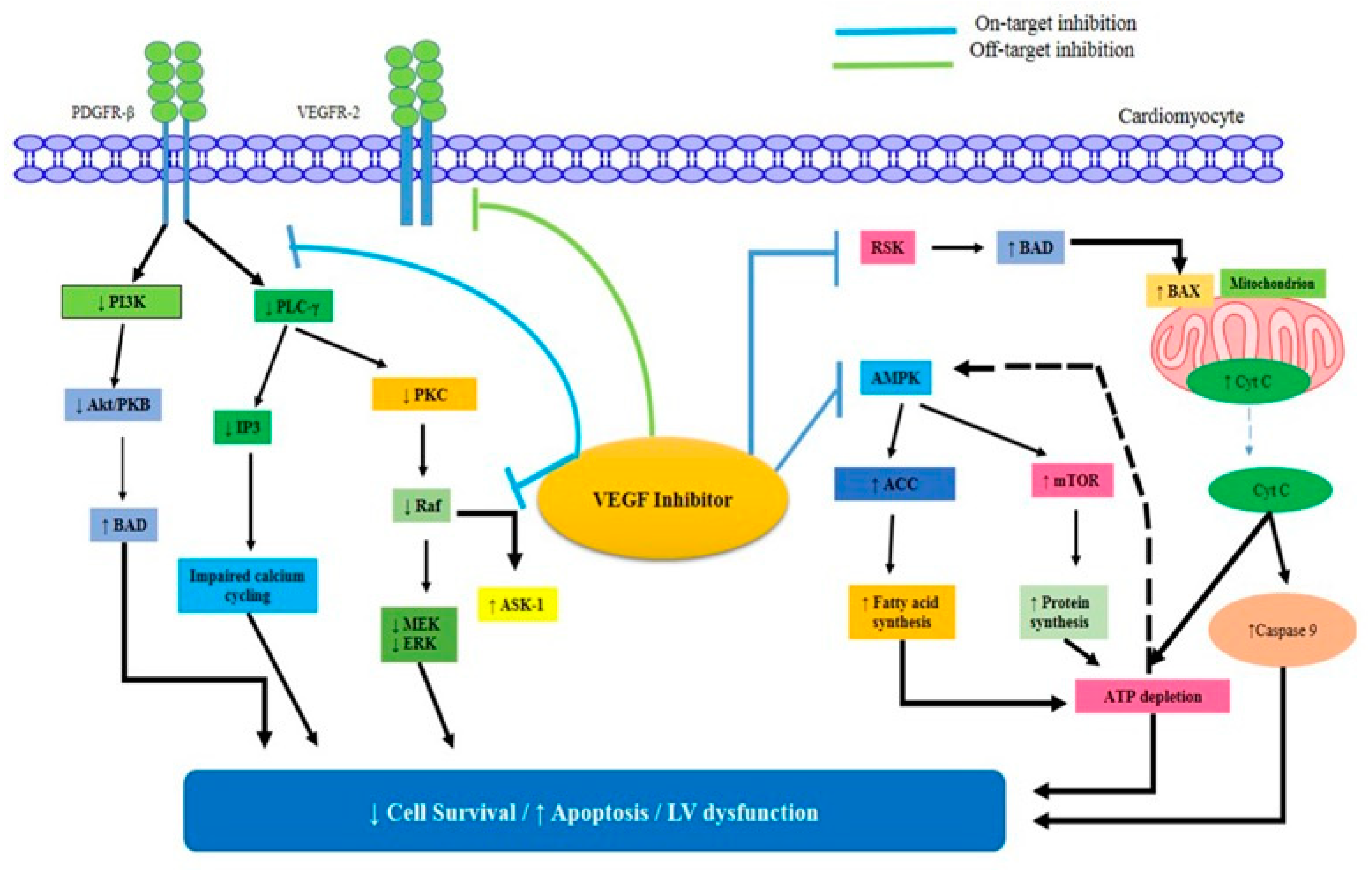 Pharmaceuticals 16 01441 g003 Pharmaceuticals 16 01441 g003
