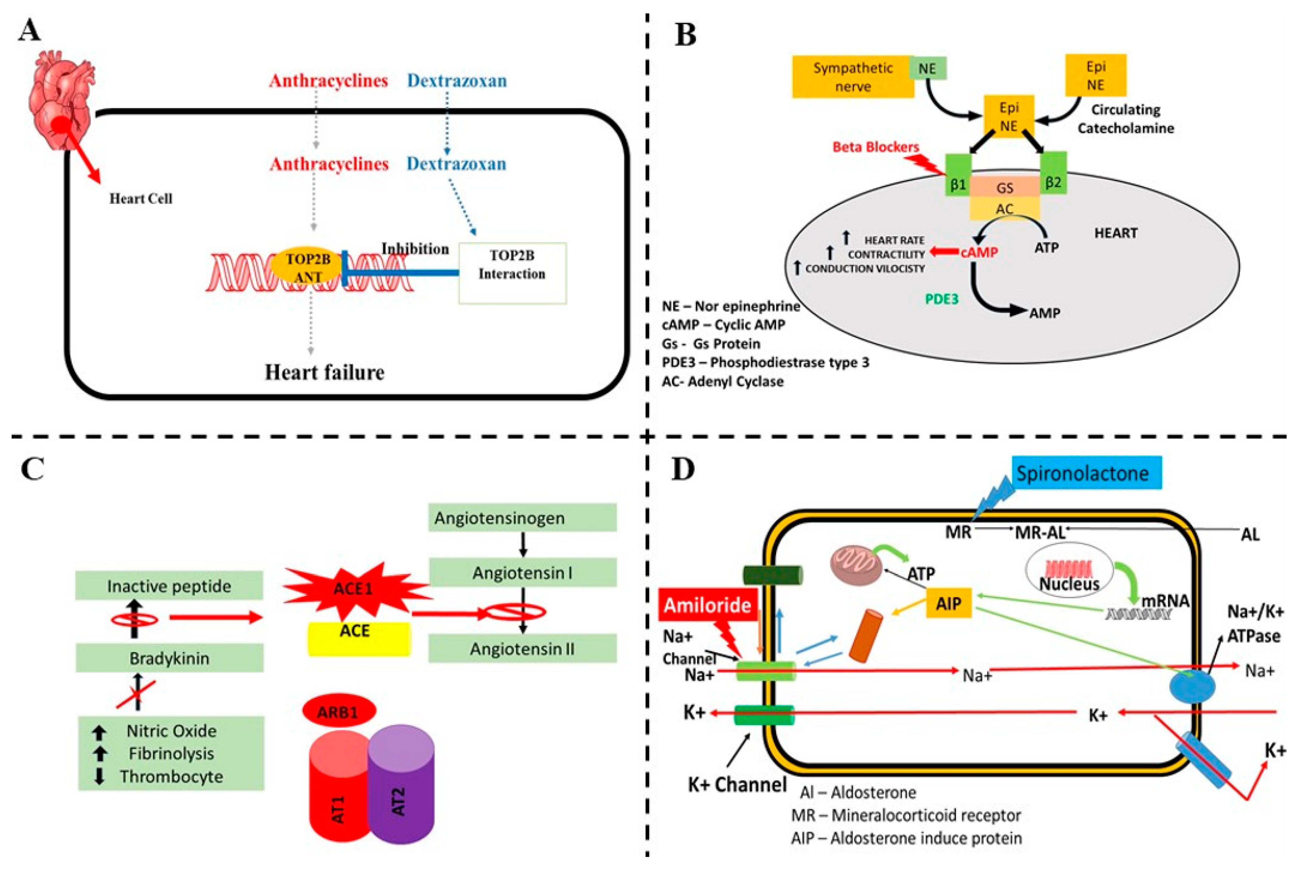 Pharmaceuticals 16 01441 g007 Pharmaceuticals 16 01441 g007