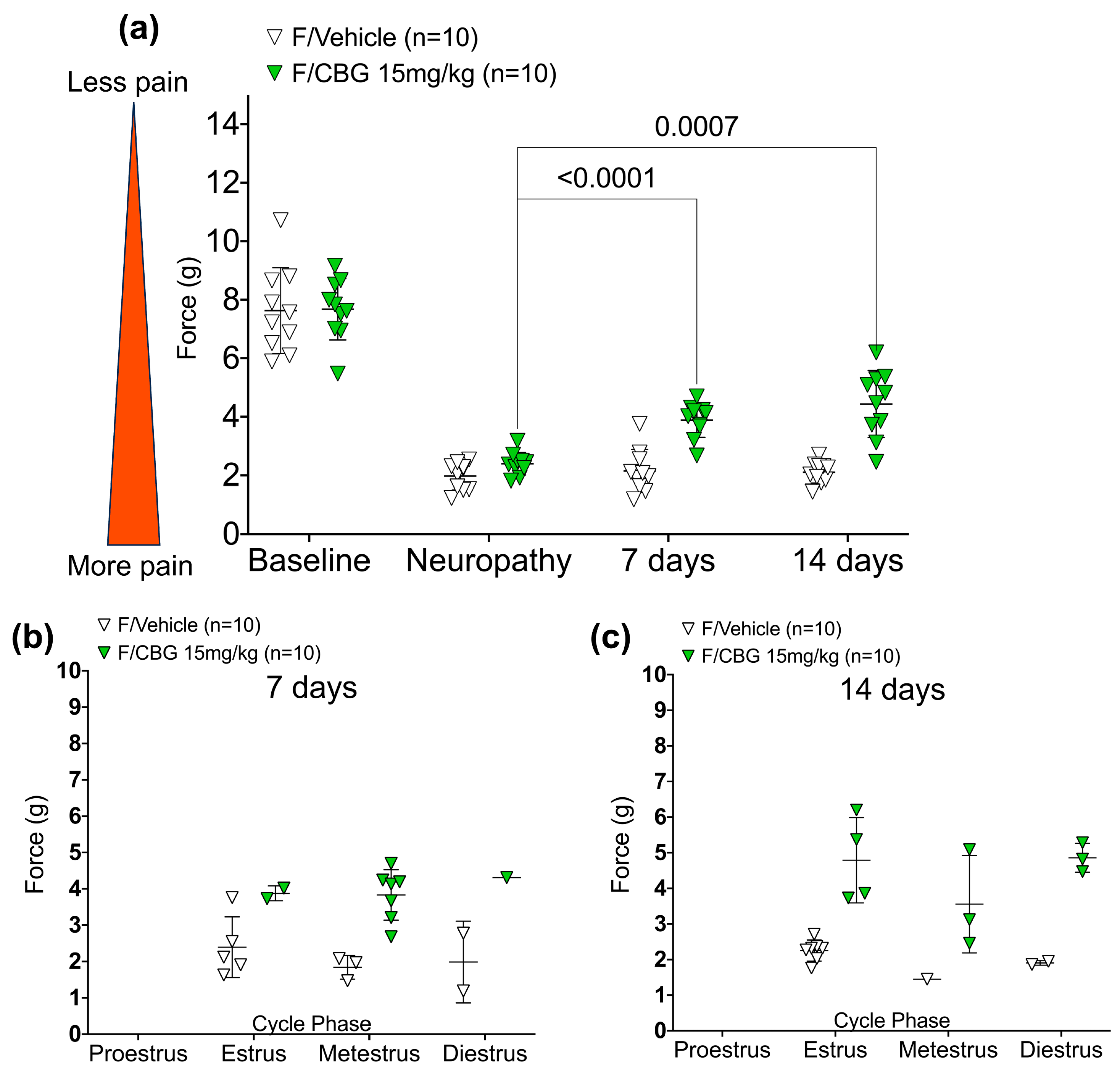 Pharmaceuticals 16 01442 g005