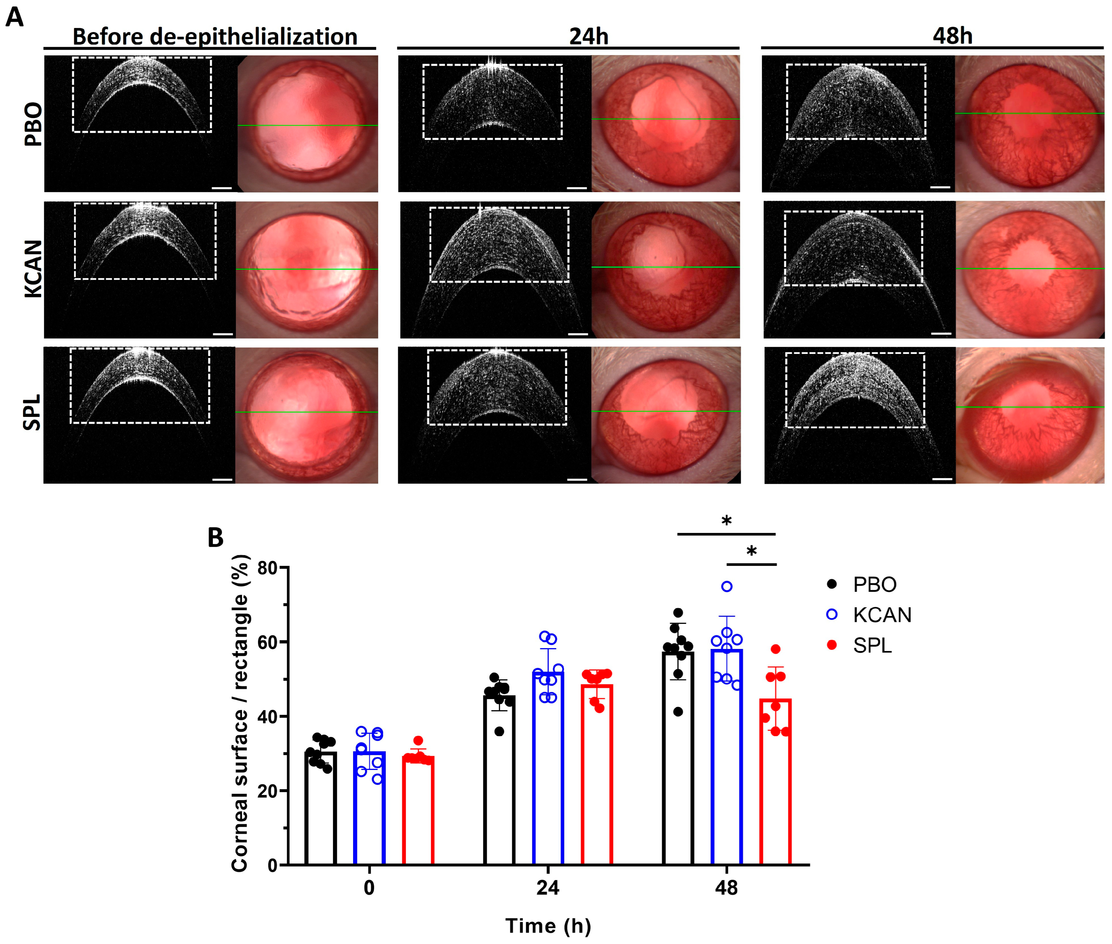 Pharmaceuticals 16 01446 g006