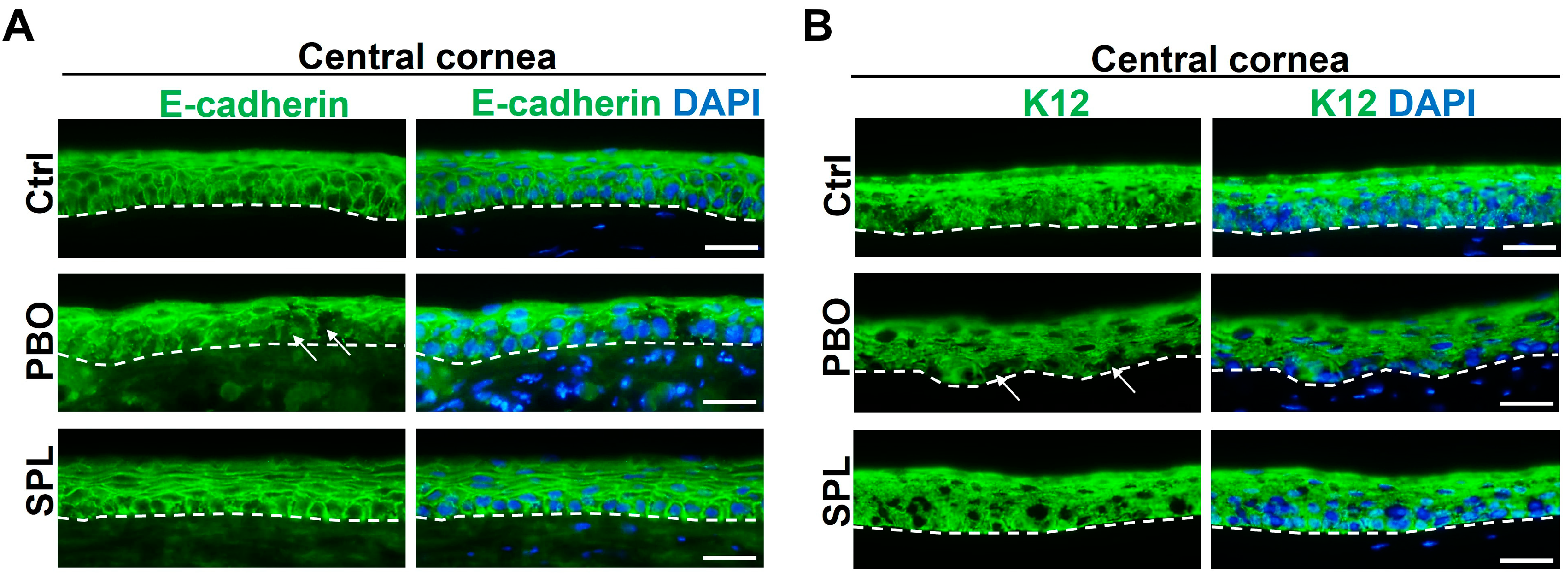 Pharmaceuticals 16 01446 g007