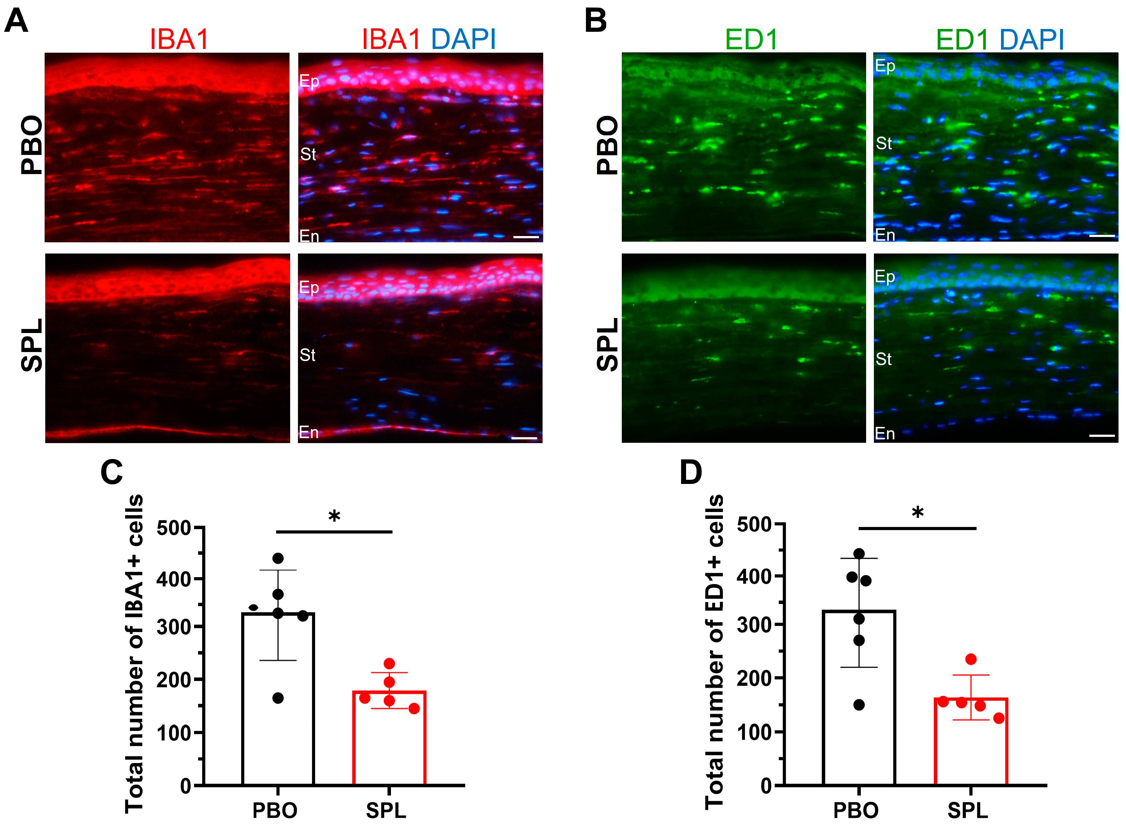 Pharmaceuticals 16 01446 g008