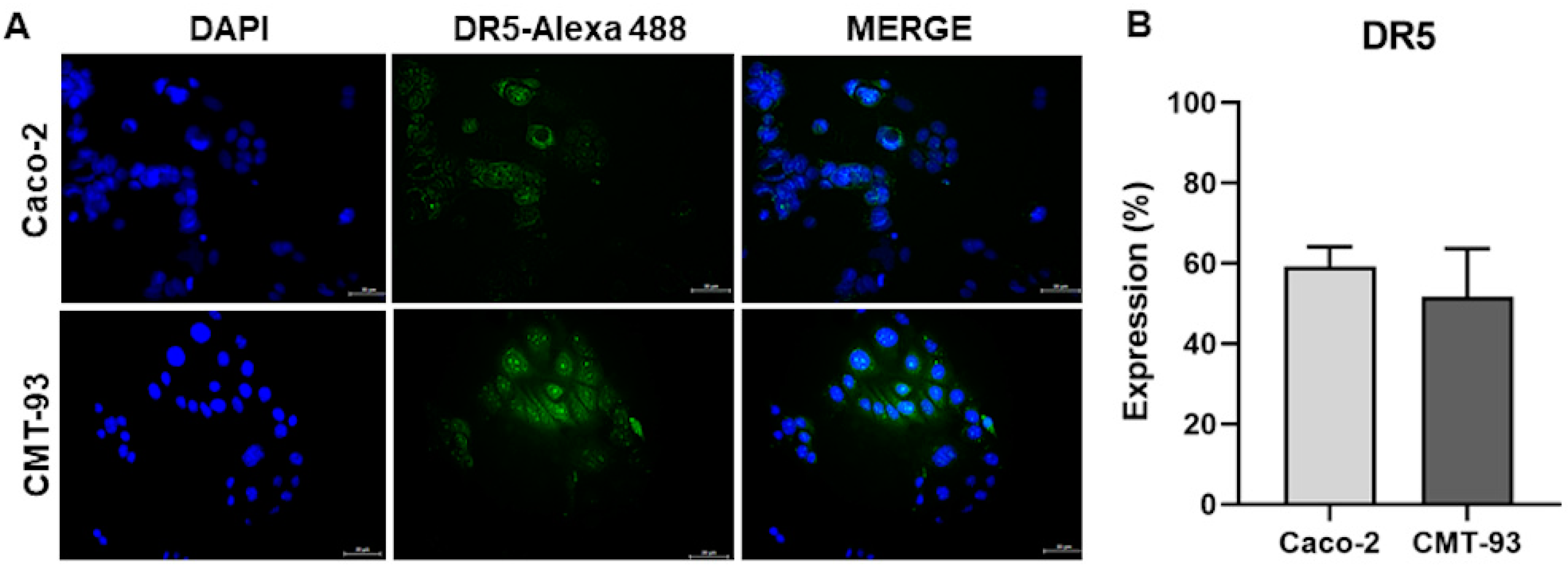 Pharmaceuticals 16 01448 g002