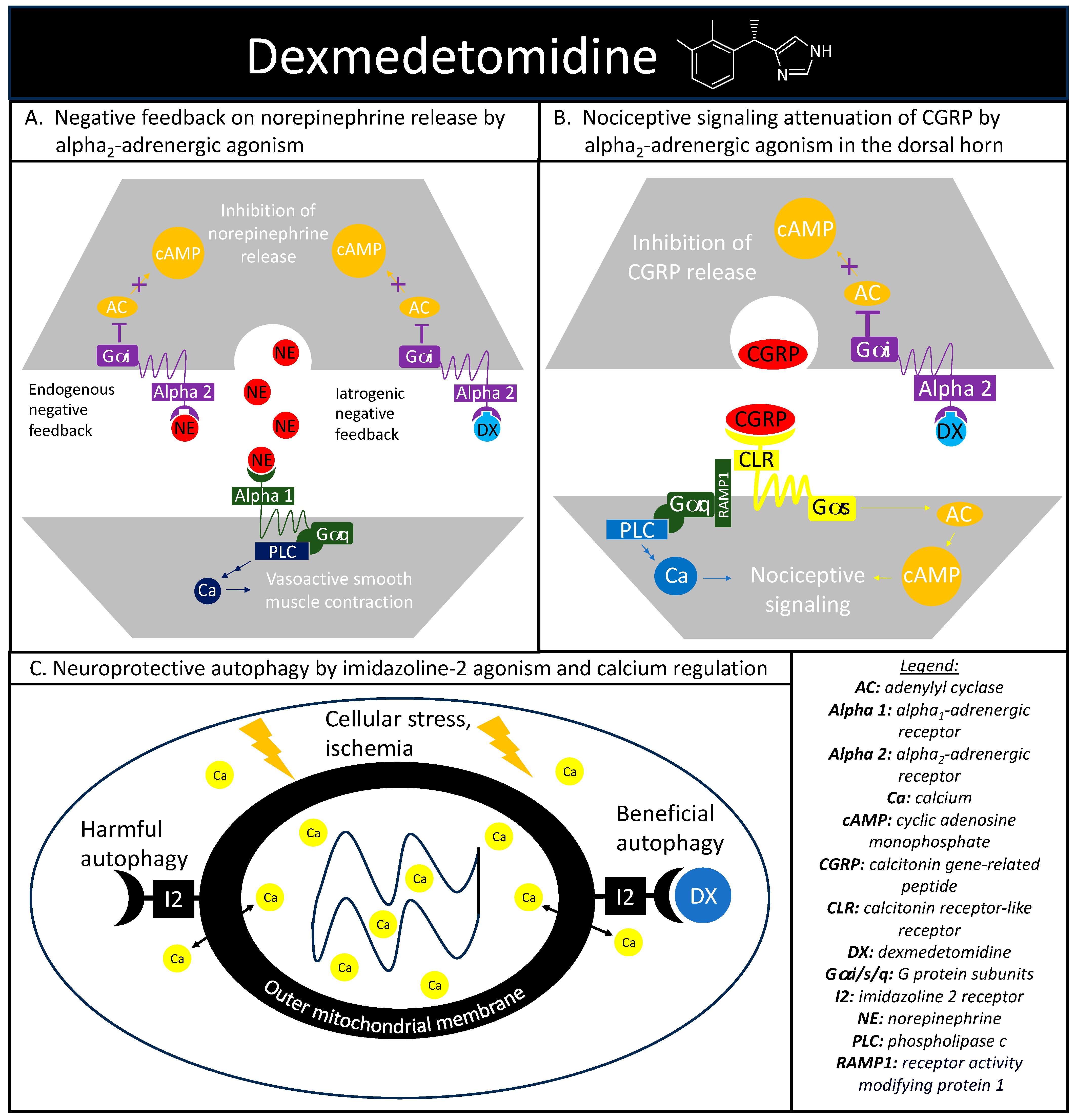 Pharmaceuticals 16 01453 g002 Pharmaceuticals 16 01453 g002