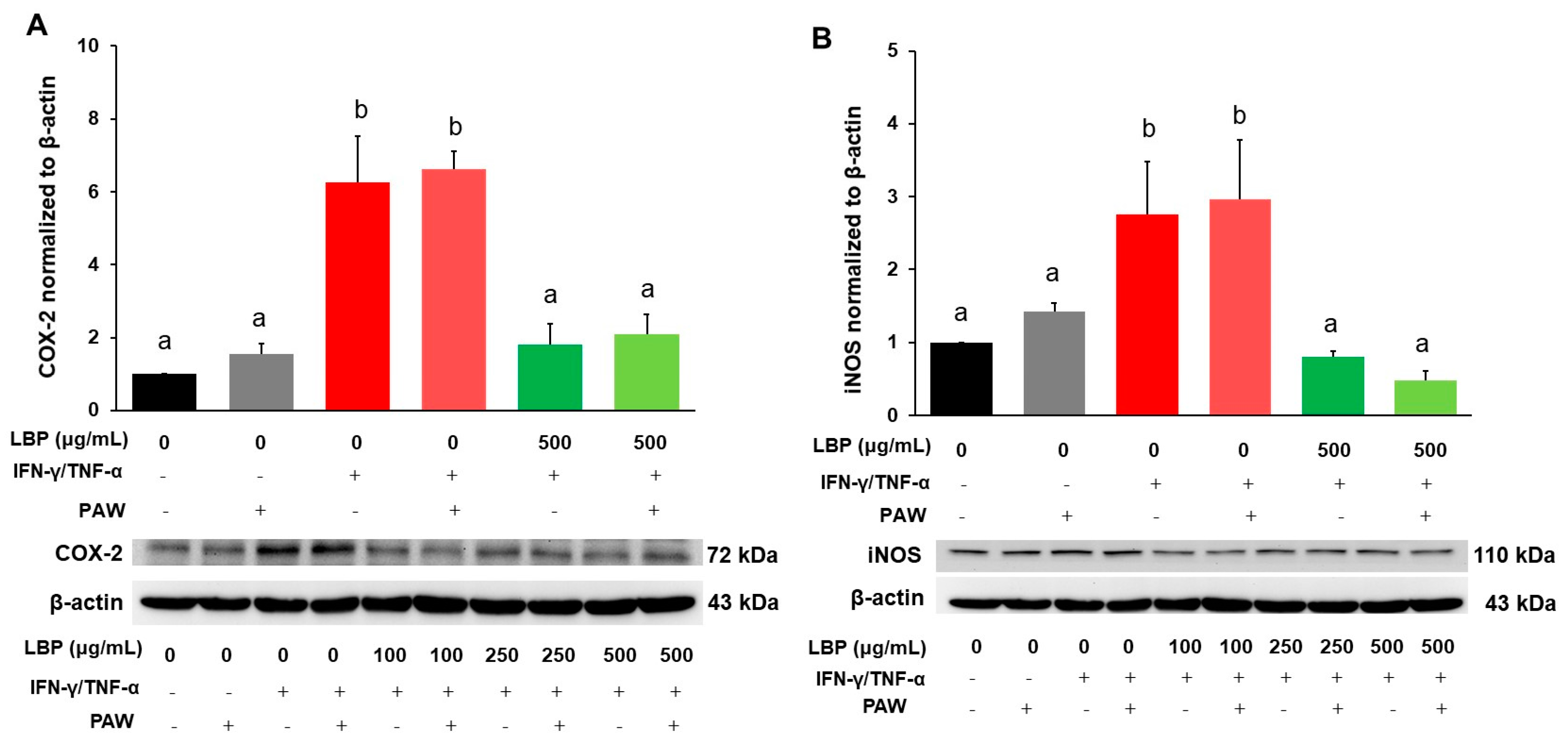 Pharmaceuticals 16 01455 g002