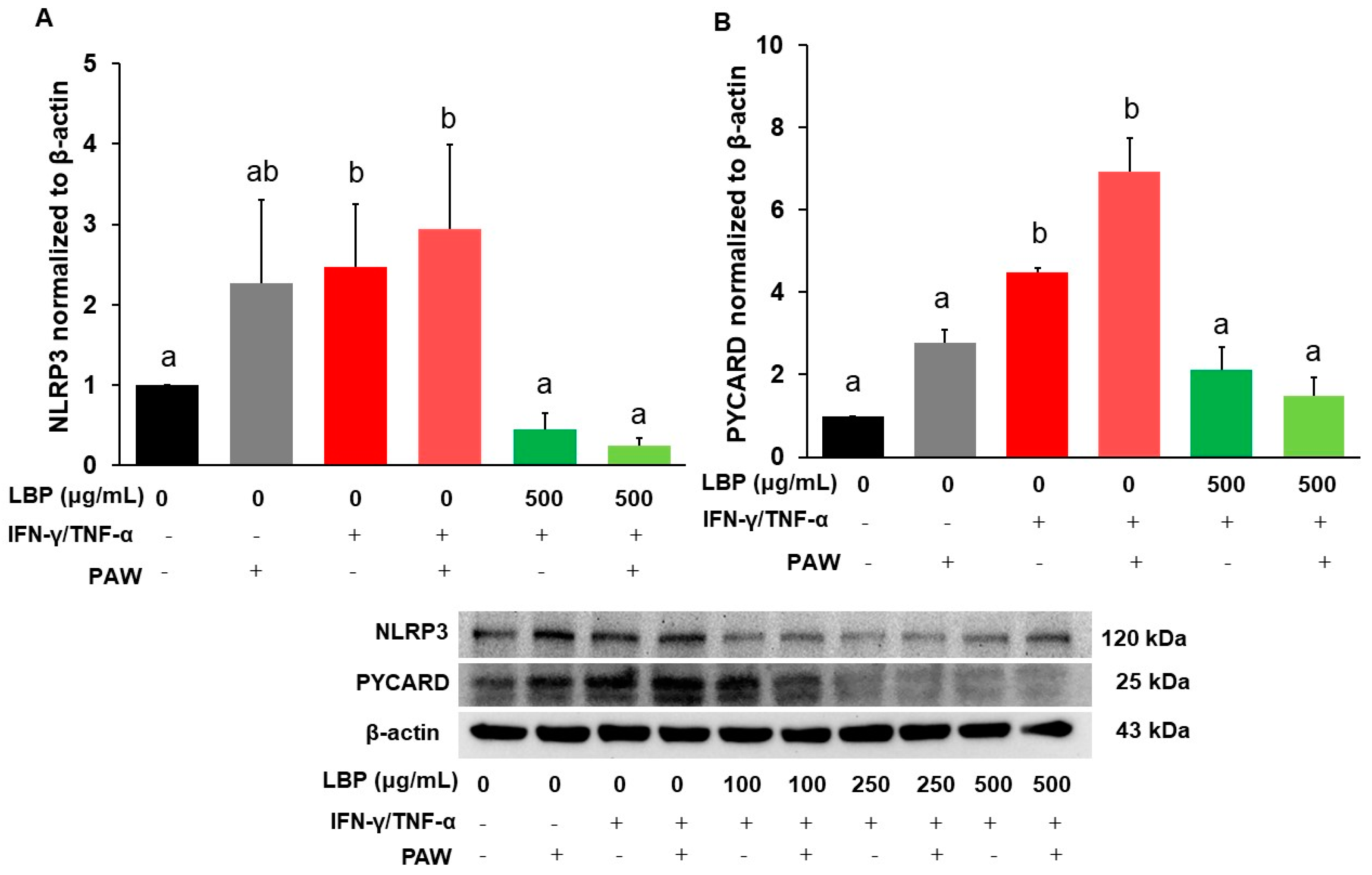 Pharmaceuticals 16 01455 g003