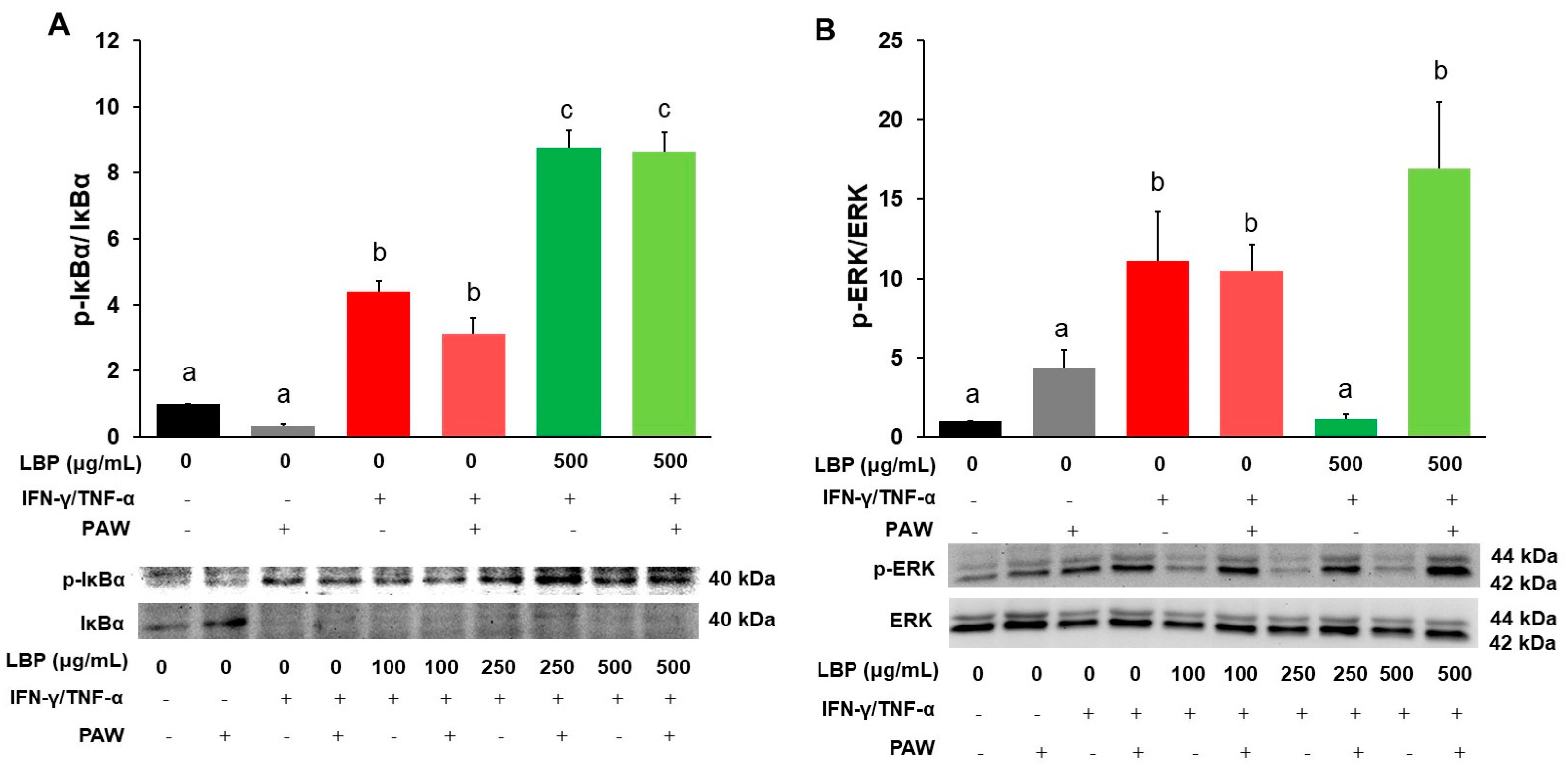 Pharmaceuticals 16 01455 g004