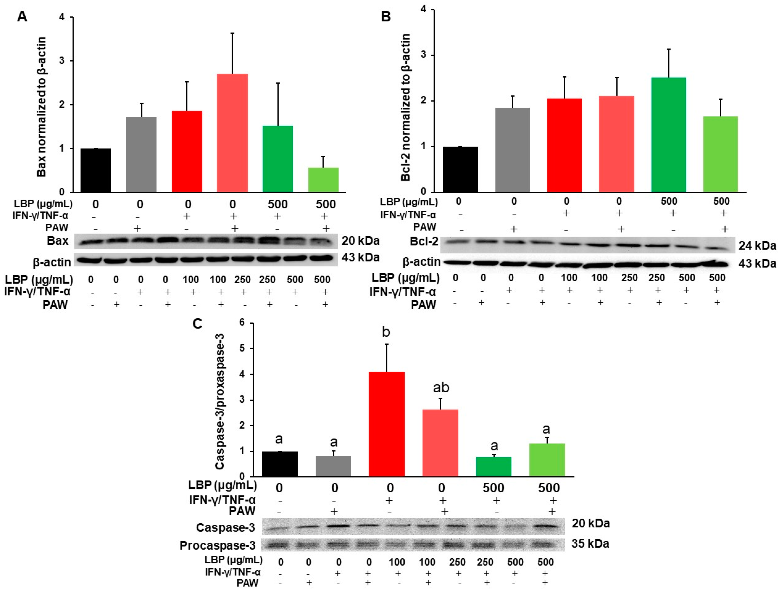 Pharmaceuticals 16 01455 g005