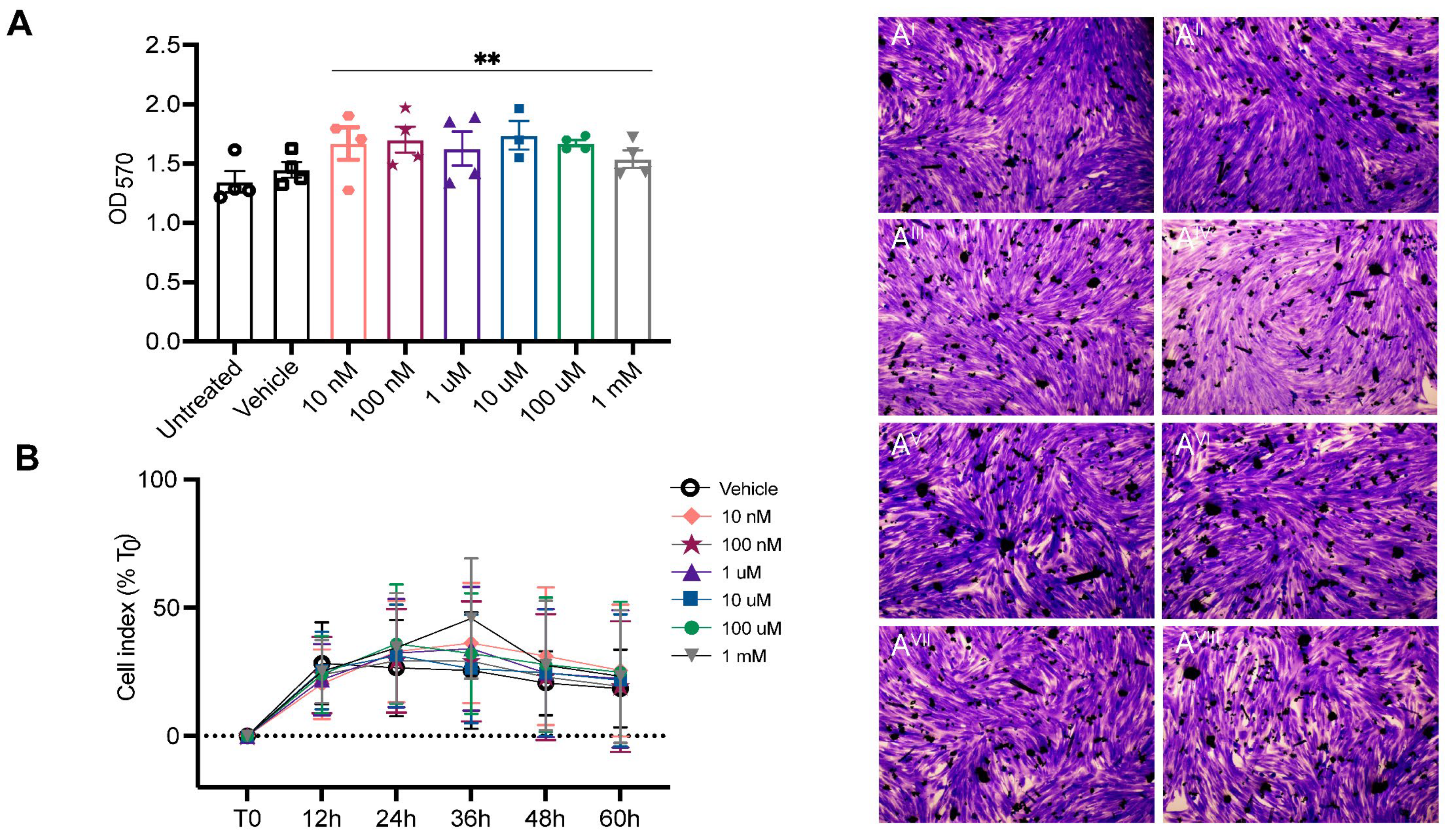 Pharmaceuticals 16 01458 g001