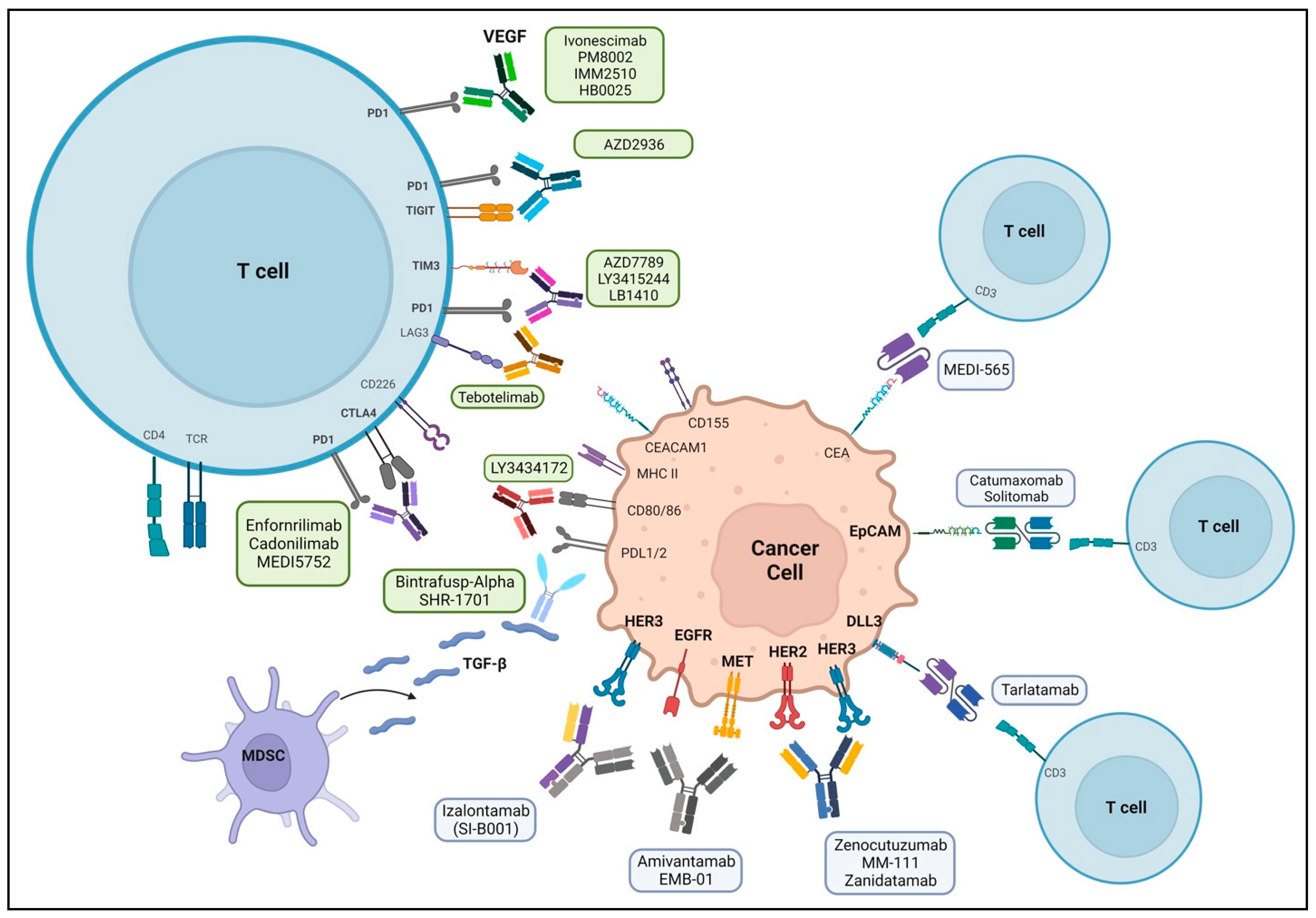 Pharmaceuticals 16 01461 g002