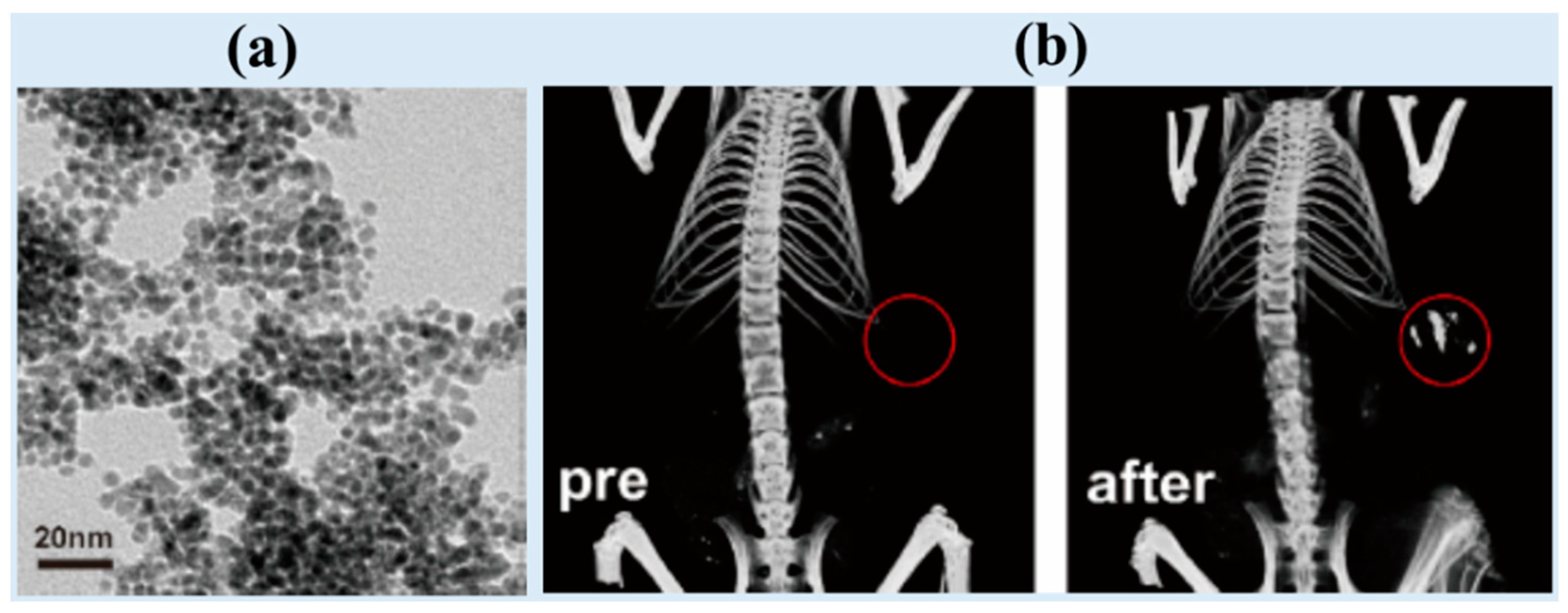 Pharmaceuticals 16 01463 g002 Pharmaceuticals 16 01463 g002