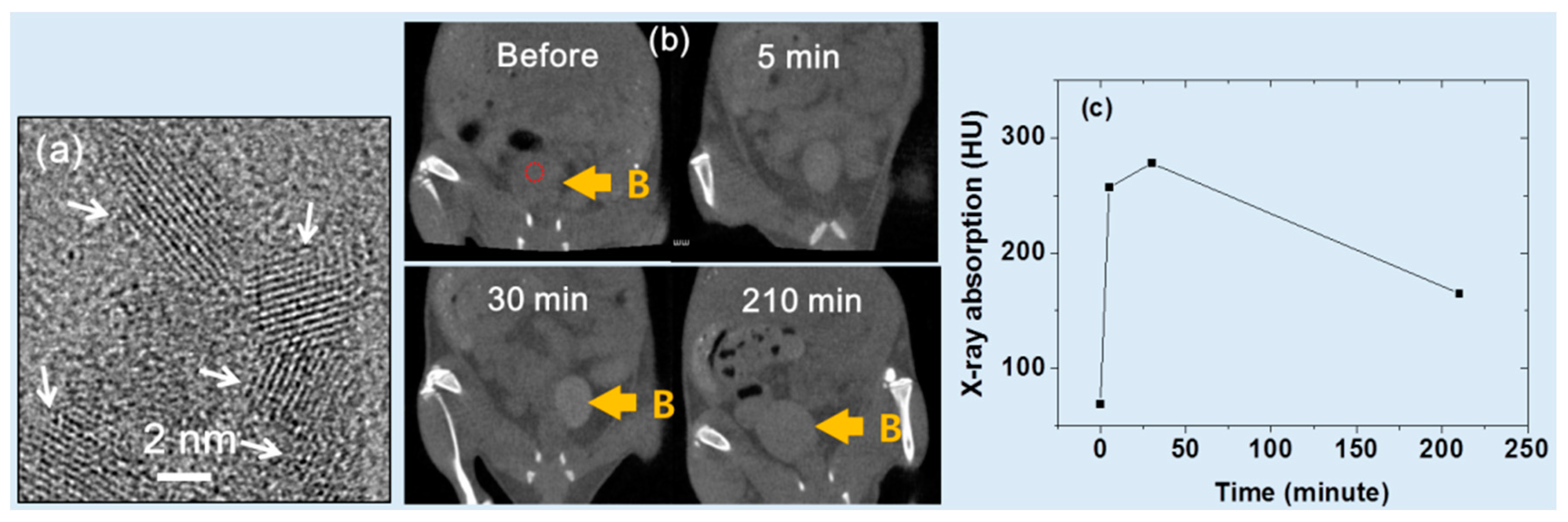 Pharmaceuticals 16 01463 g007 Pharmaceuticals 16 01463 g007