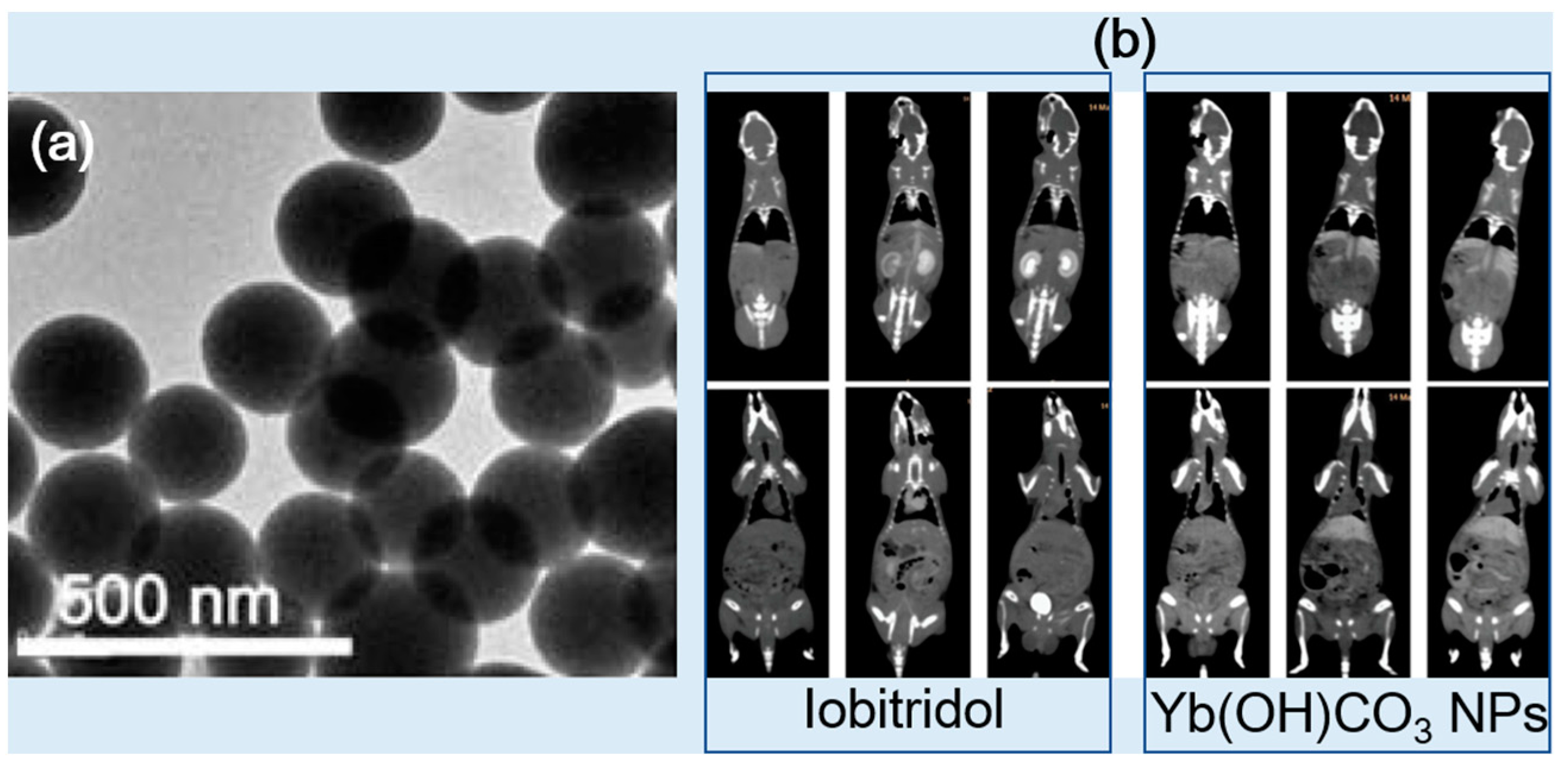 Pharmaceuticals 16 01463 g009 Pharmaceuticals 16 01463 g009