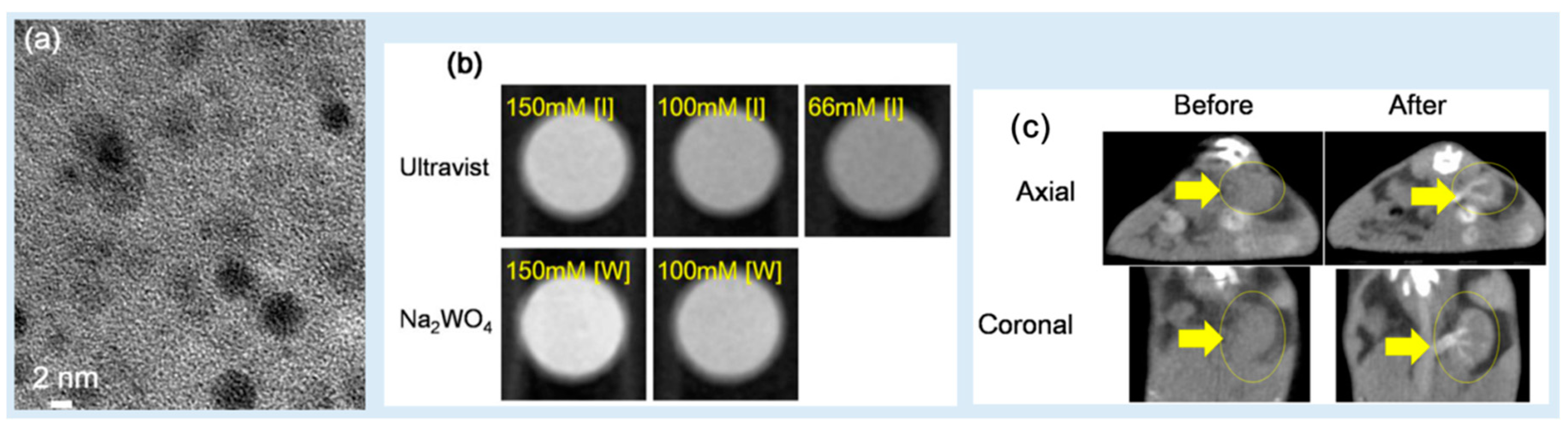 Pharmaceuticals 16 01463 g011 Pharmaceuticals 16 01463 g011