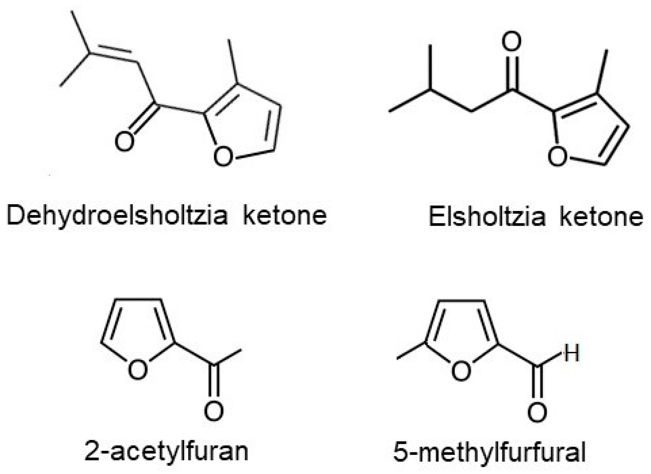 Pharmaceuticals 16 01464 g001