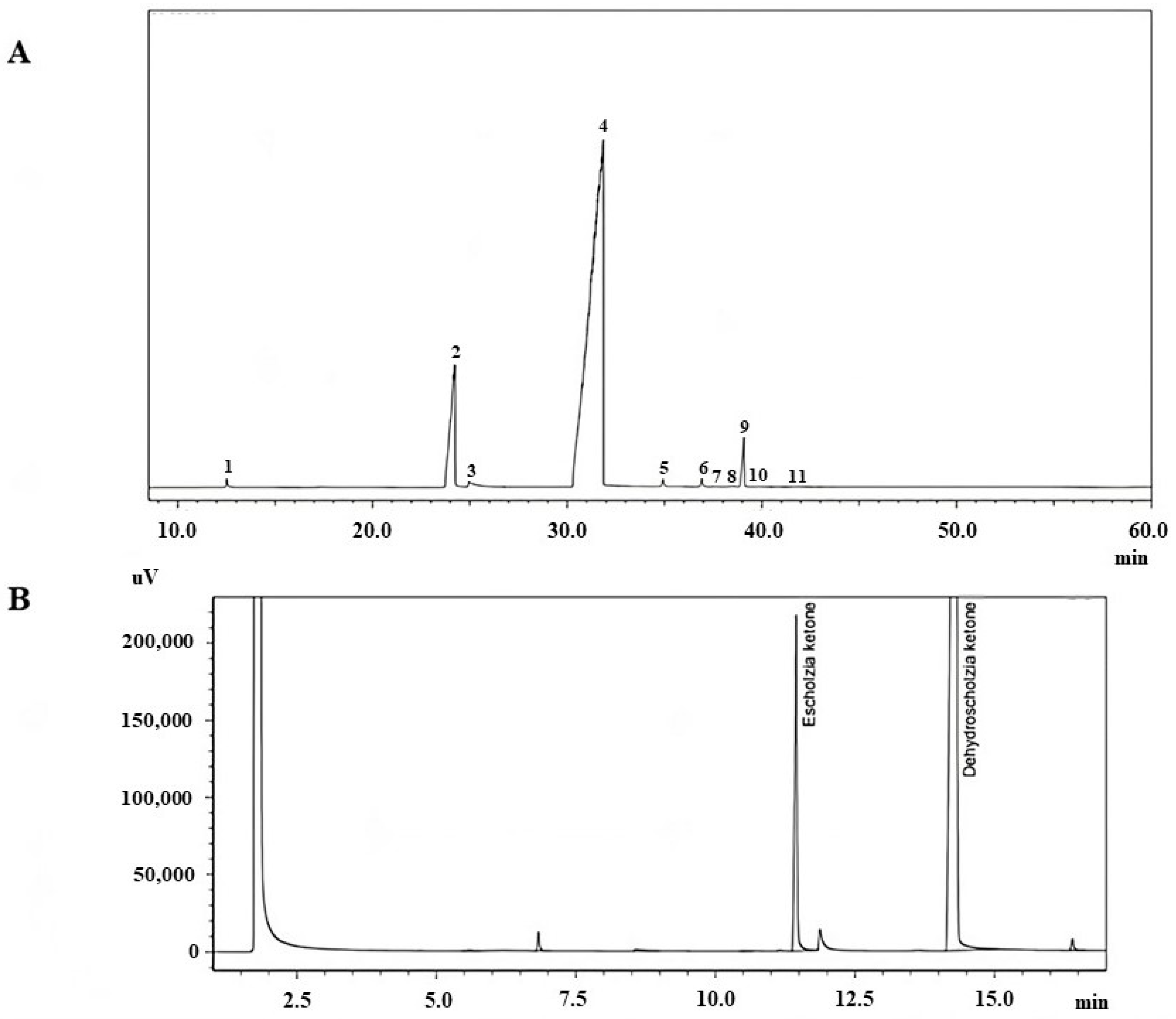 Pharmaceuticals 16 01464 g002