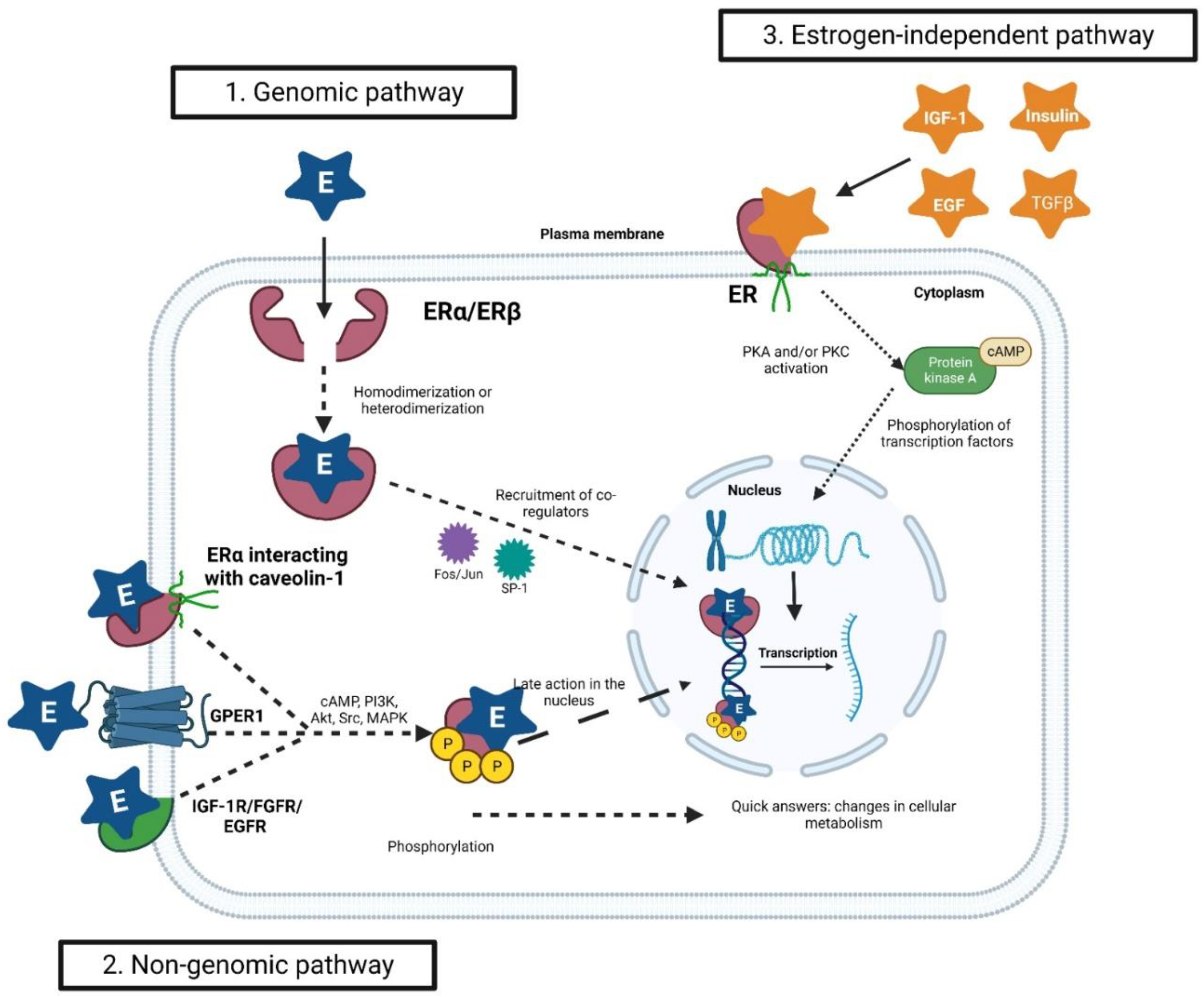 Pharmaceuticals 16 01466 g003 Pharmaceuticals 16 01466 g003