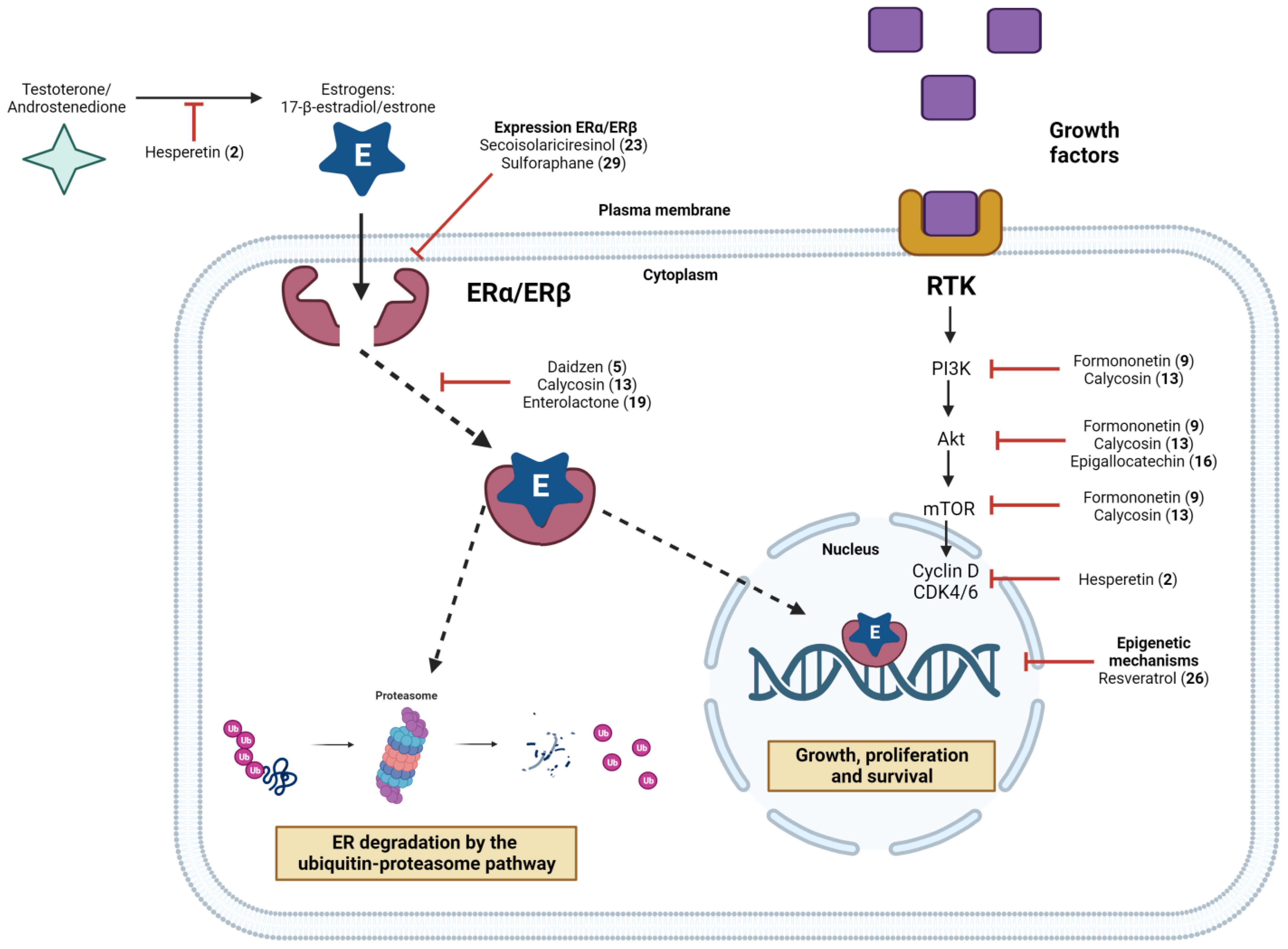 Pharmaceuticals 16 01466 g013 Pharmaceuticals 16 01466 g013