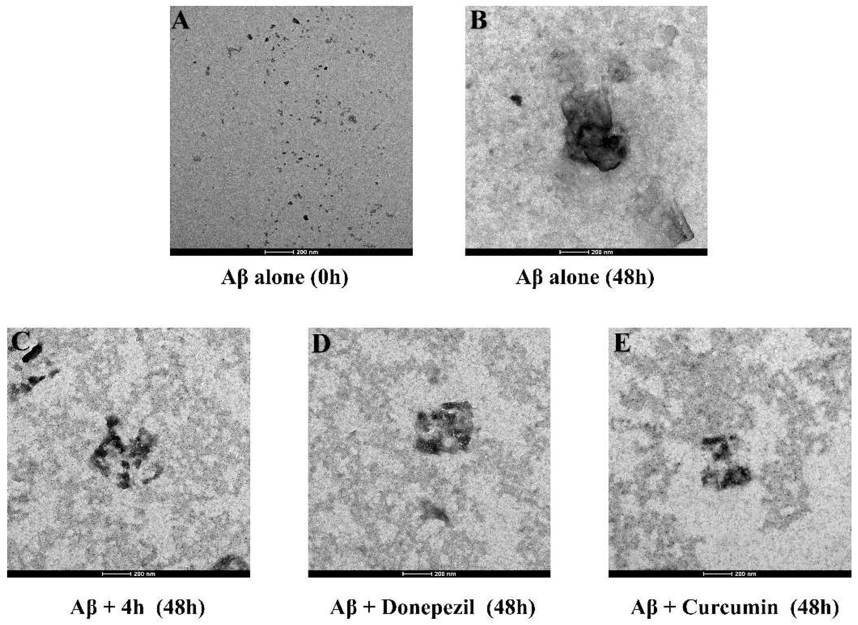 Pharmaceuticals 16 01468 g005