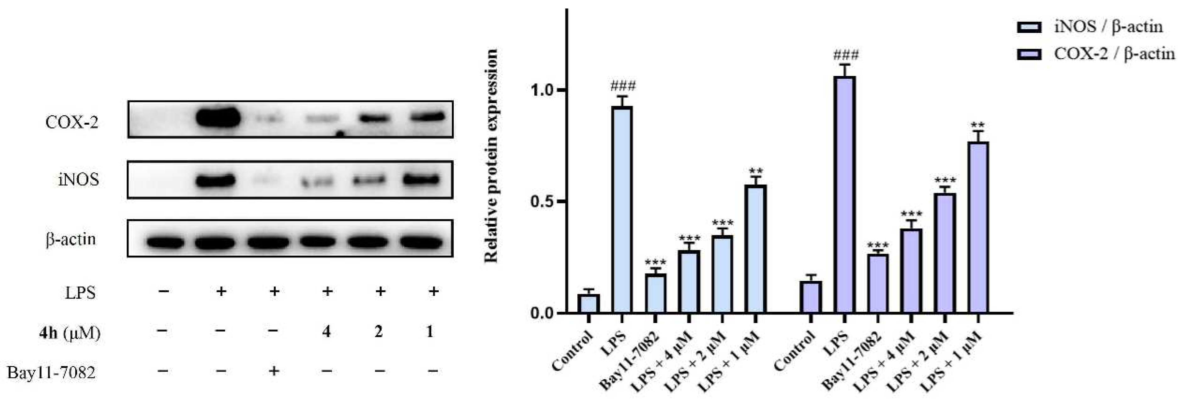 Pharmaceuticals 16 01468 g008