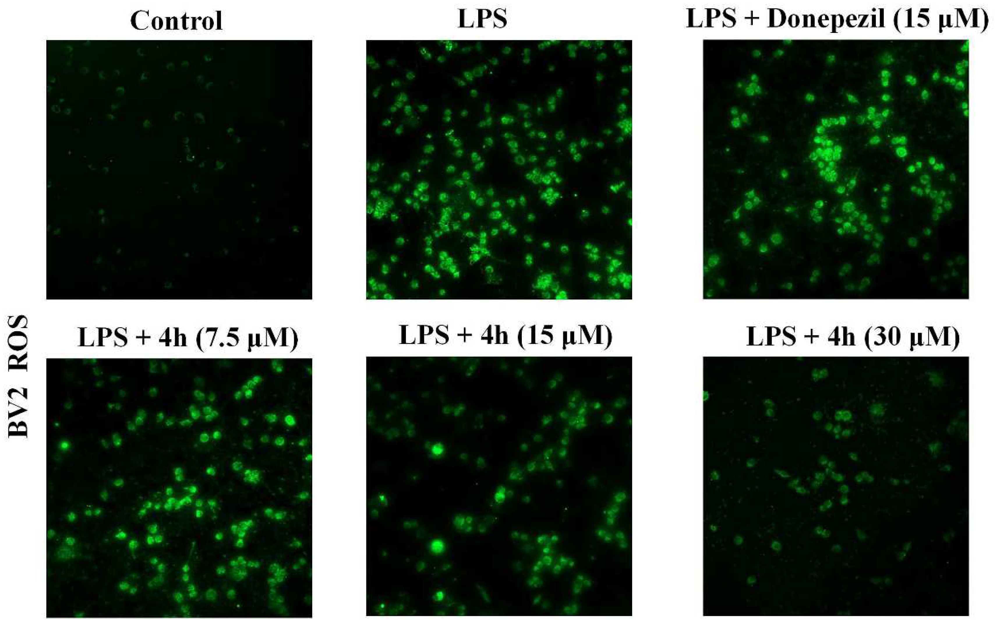 Pharmaceuticals 16 01468 g009
