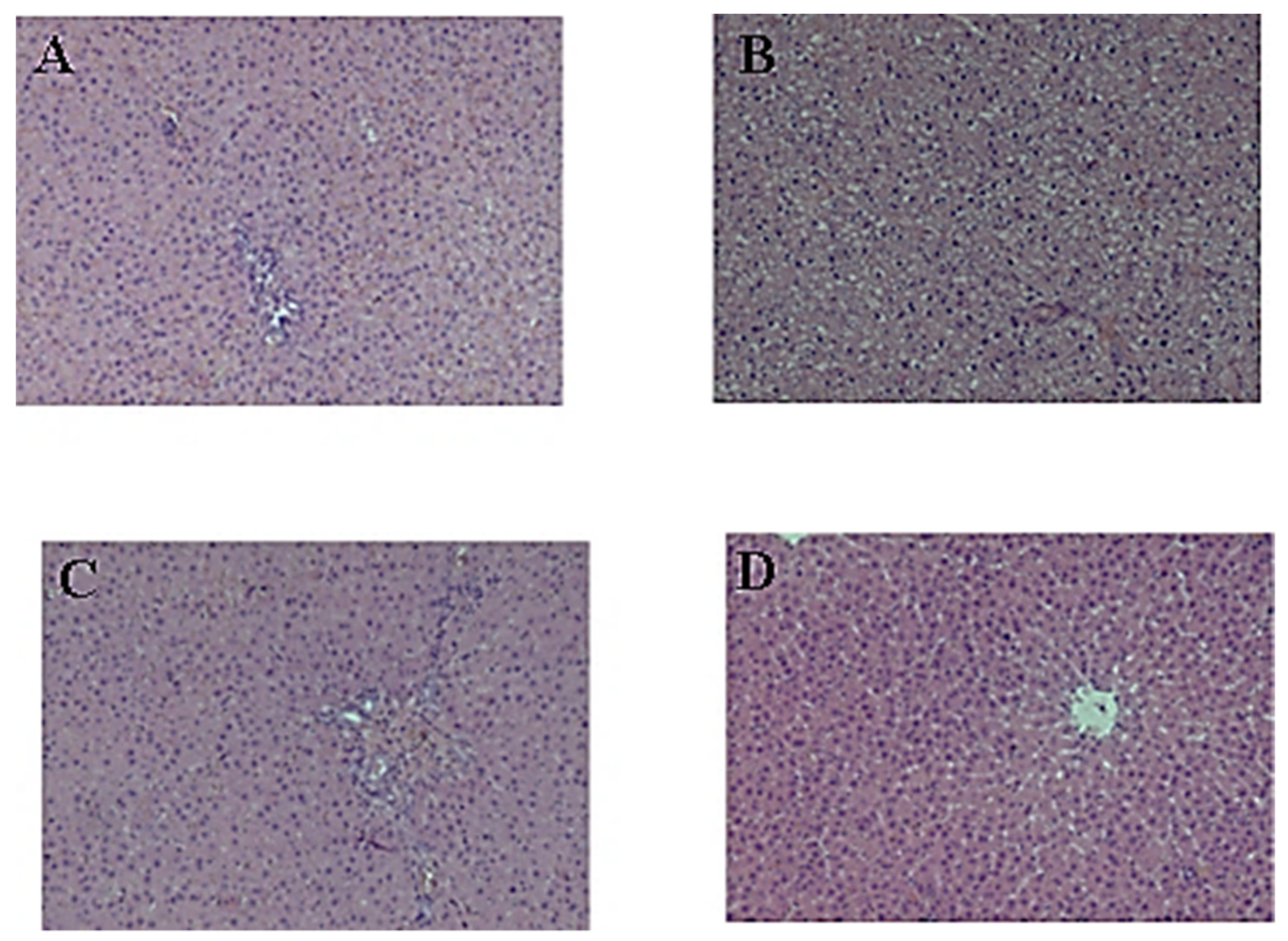 Pharmaceuticals 16 01471 g002