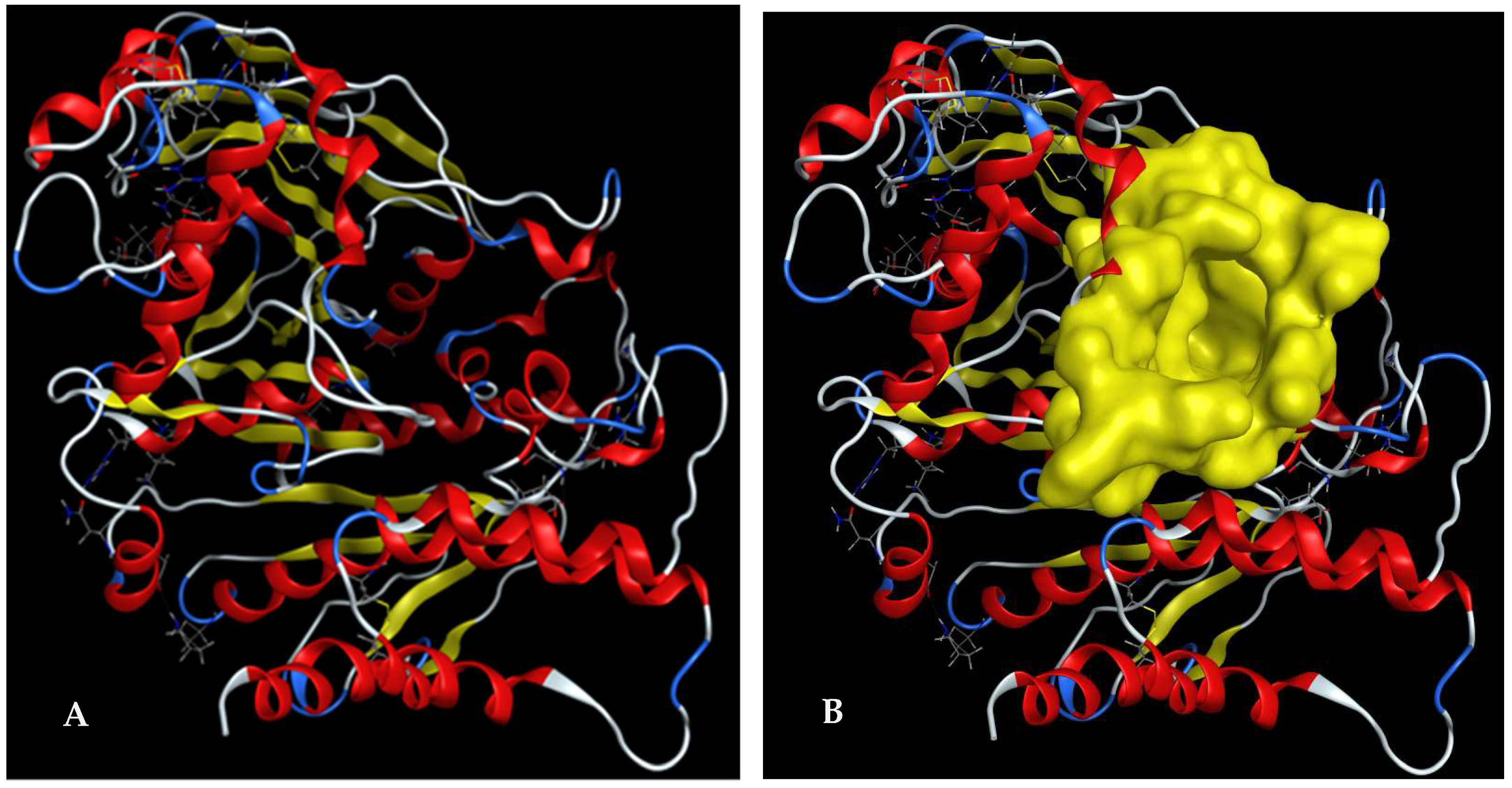 Pharmaceuticals 16 01476 g006