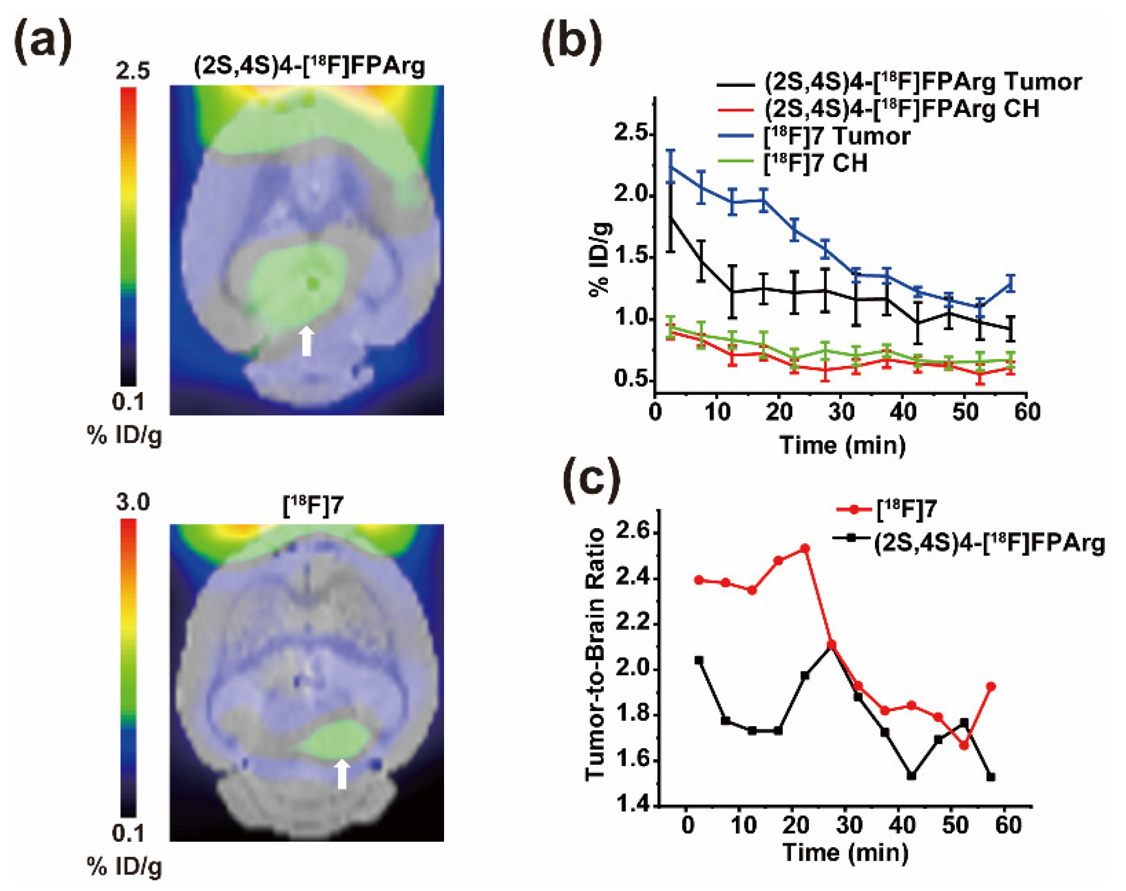 Pharmaceuticals 16 01477 g005