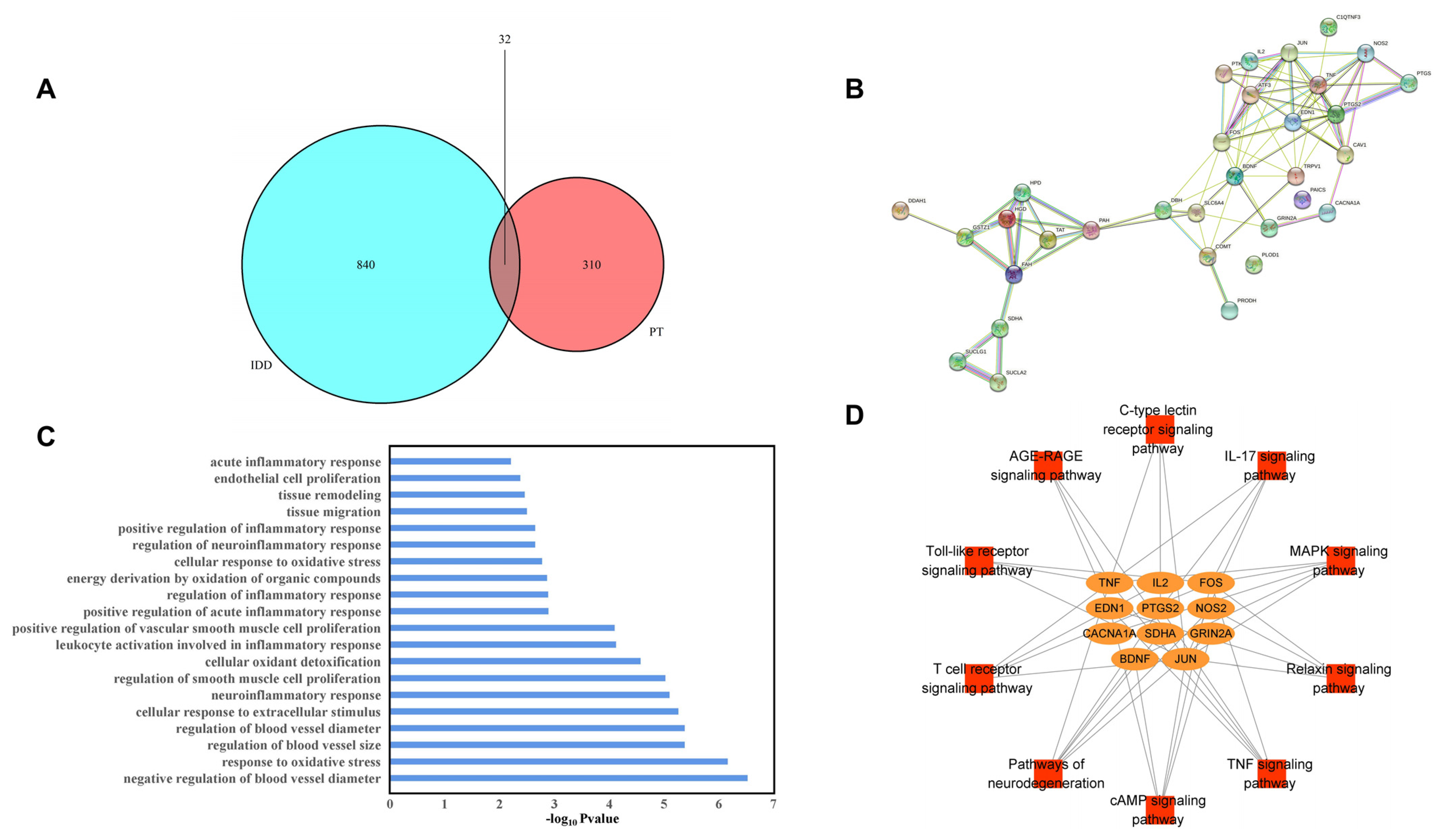 Pharmaceuticals | Free Full-Text | Plastrum testudinis Ameliorates 