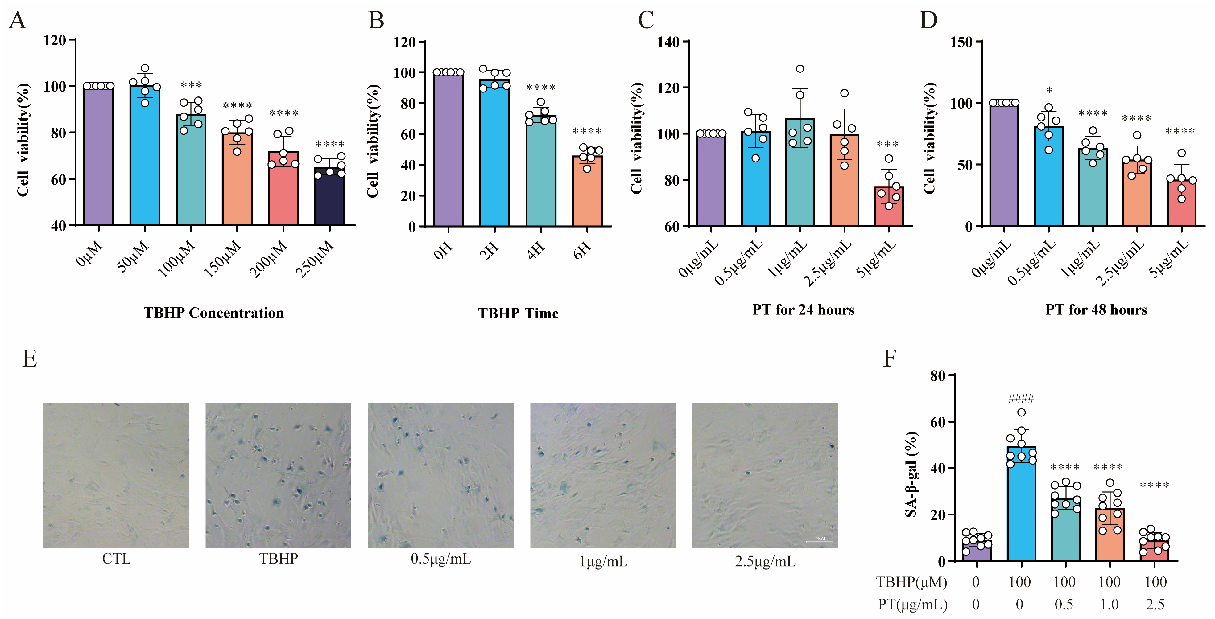 Pharmaceuticals 16 01482 g002