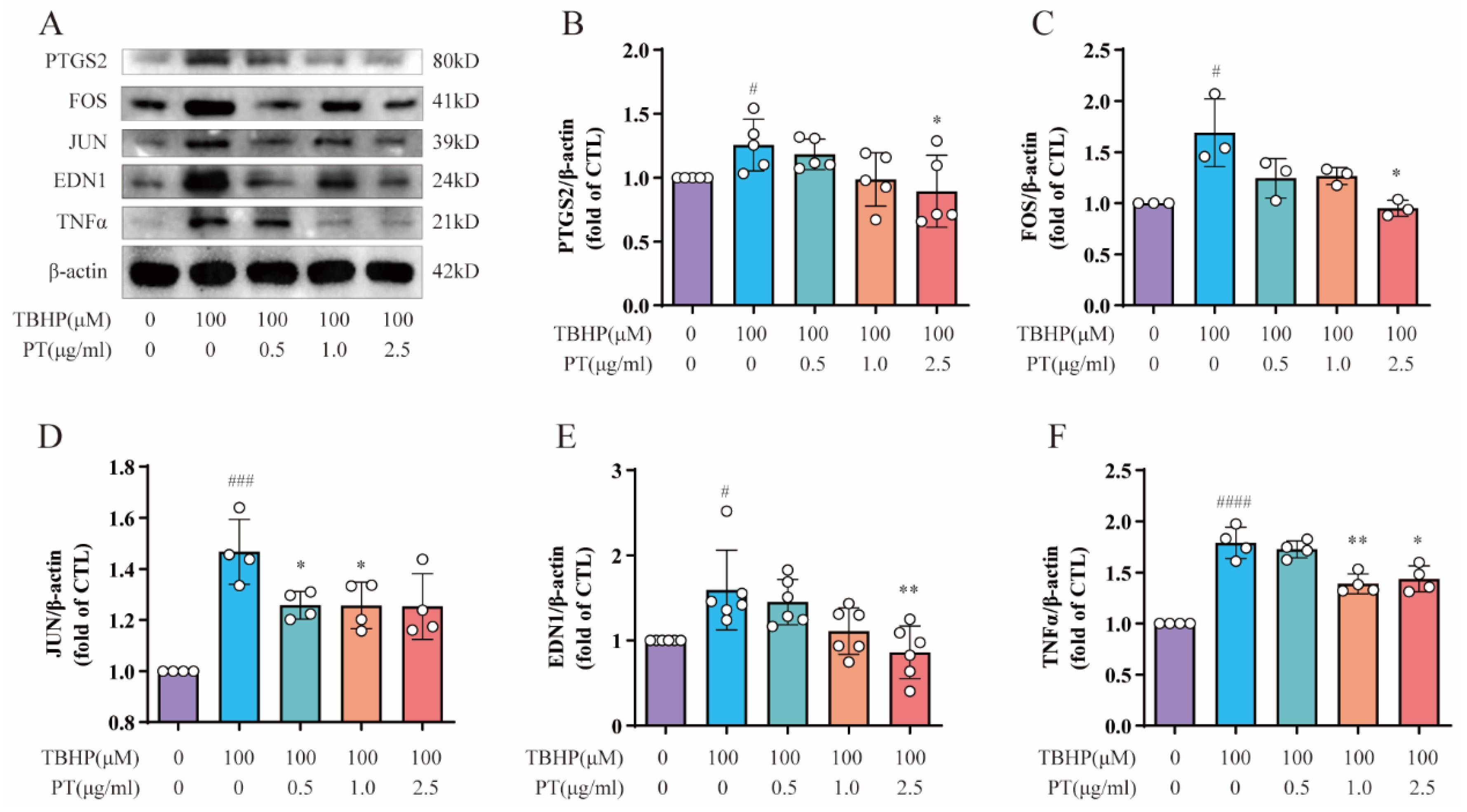 Pharmaceuticals 16 01482 g003