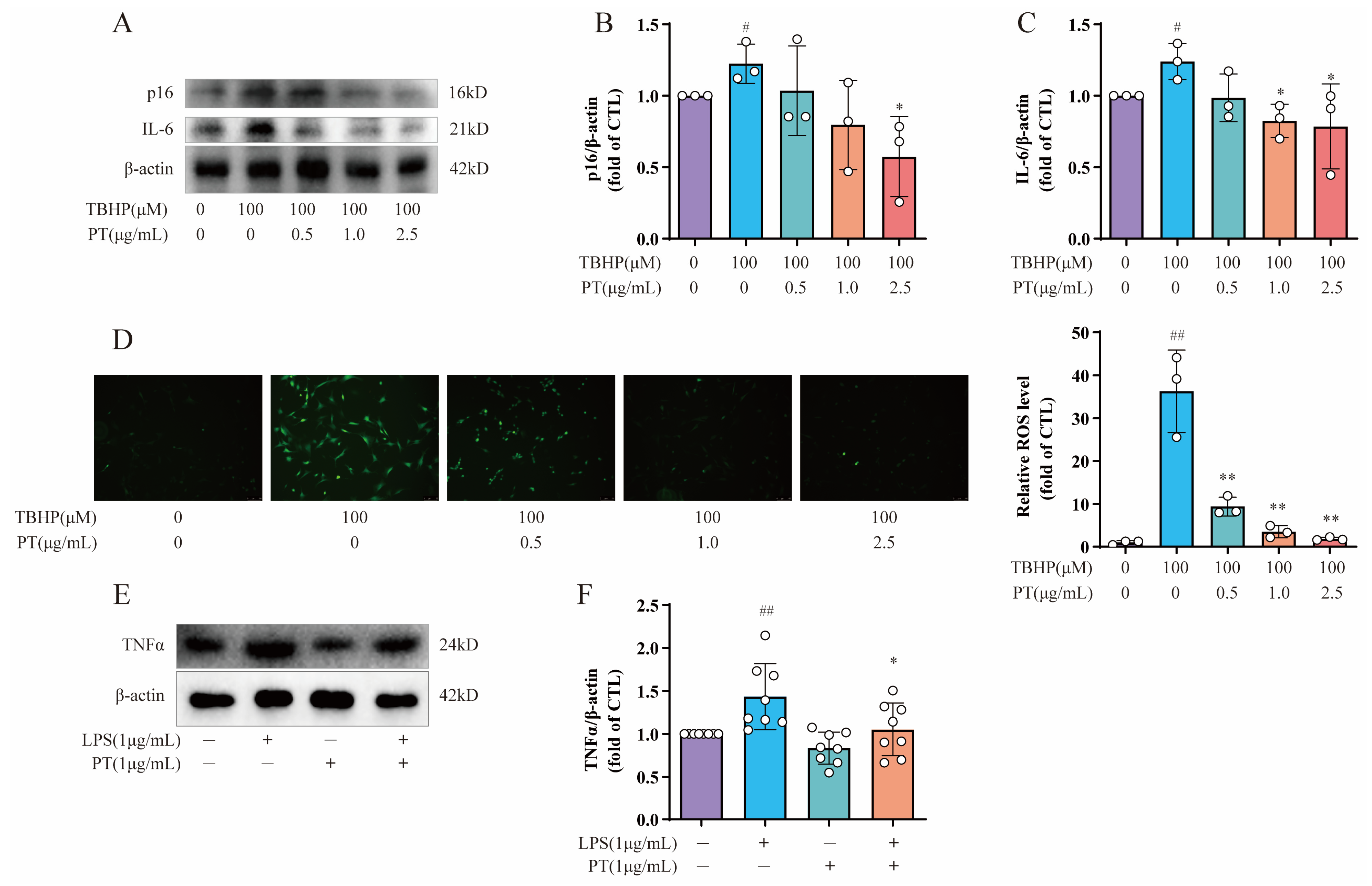 Pharmaceuticals 16 01482 g005