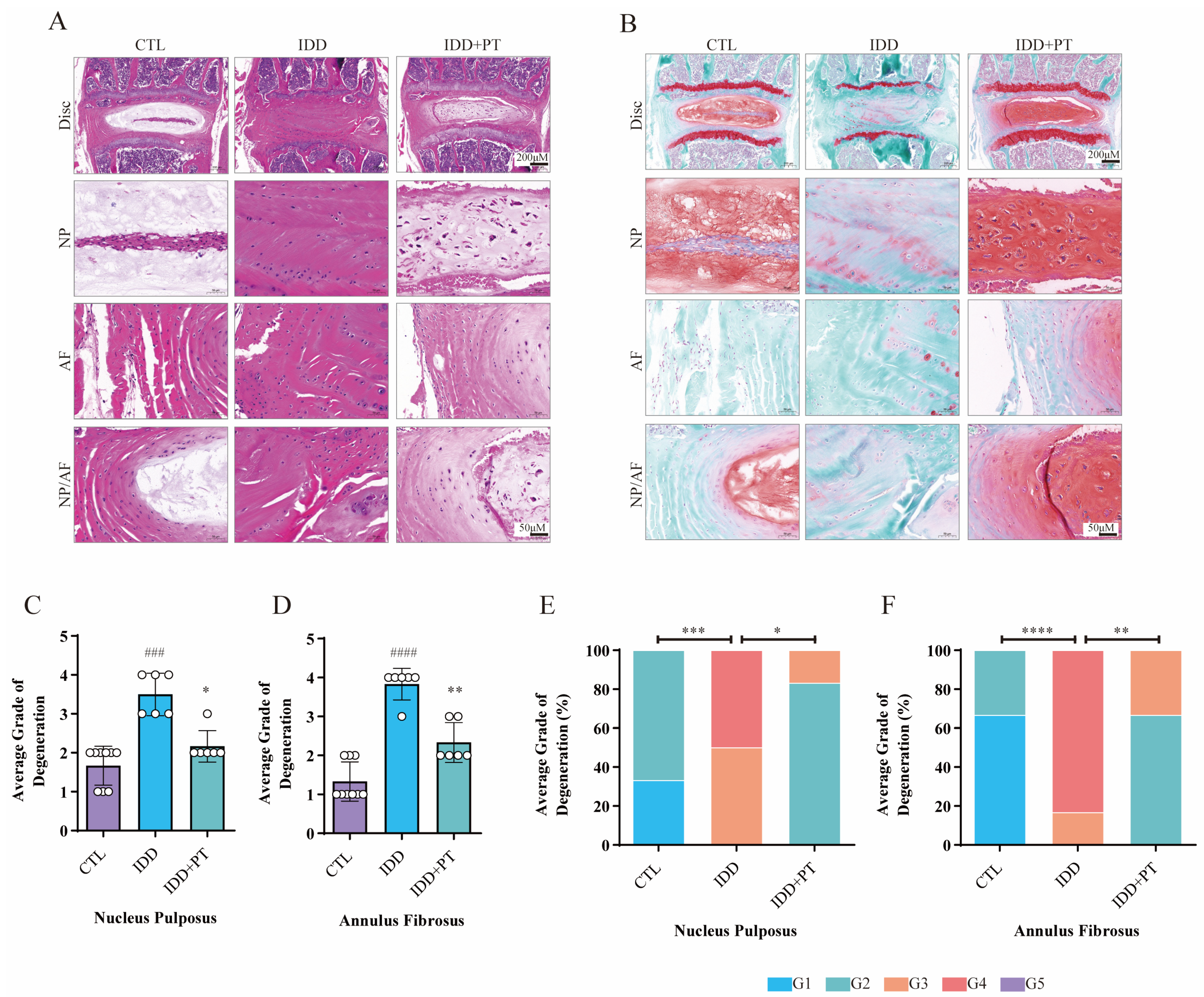 Pharmaceuticals 16 01482 g006